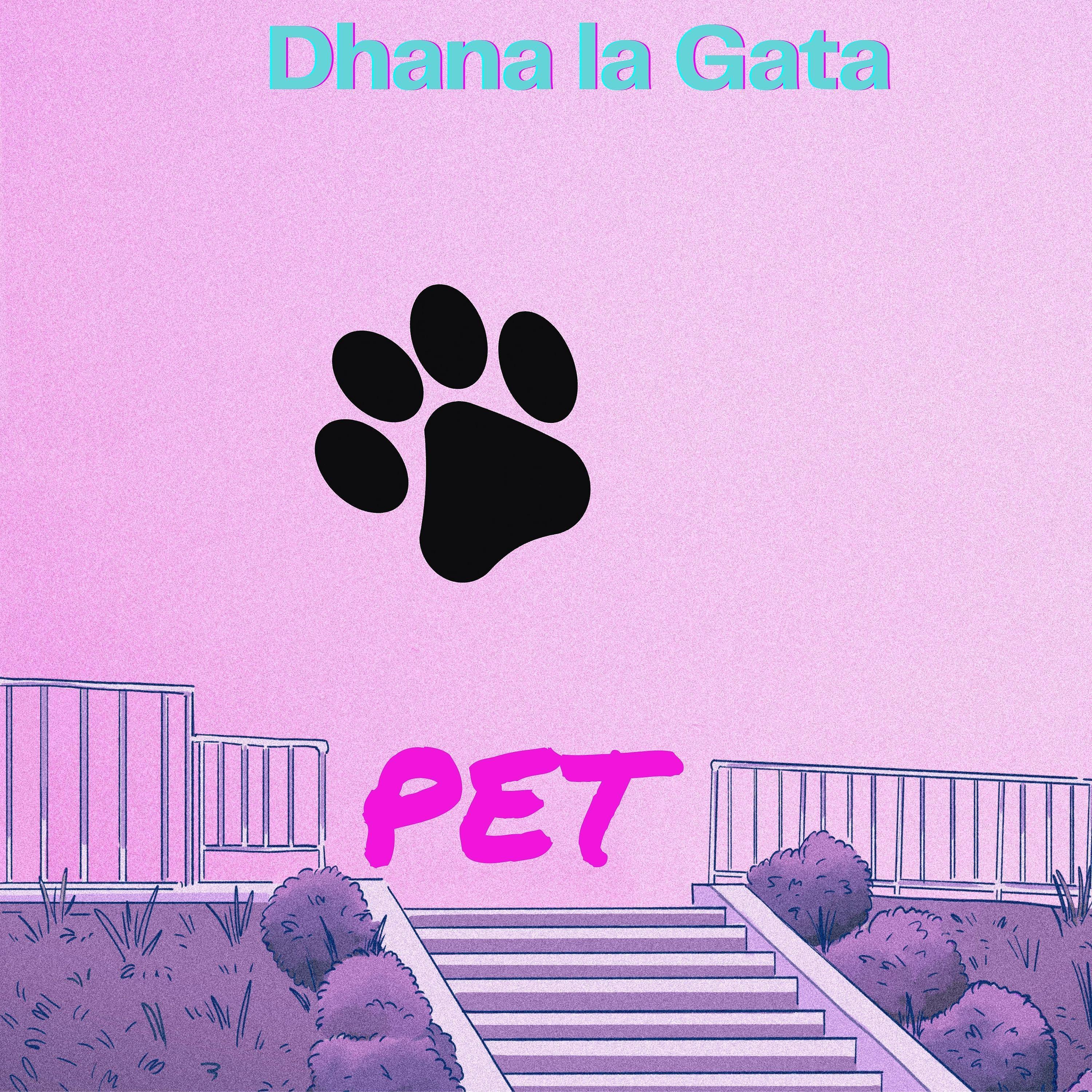 Постер альбома Pet