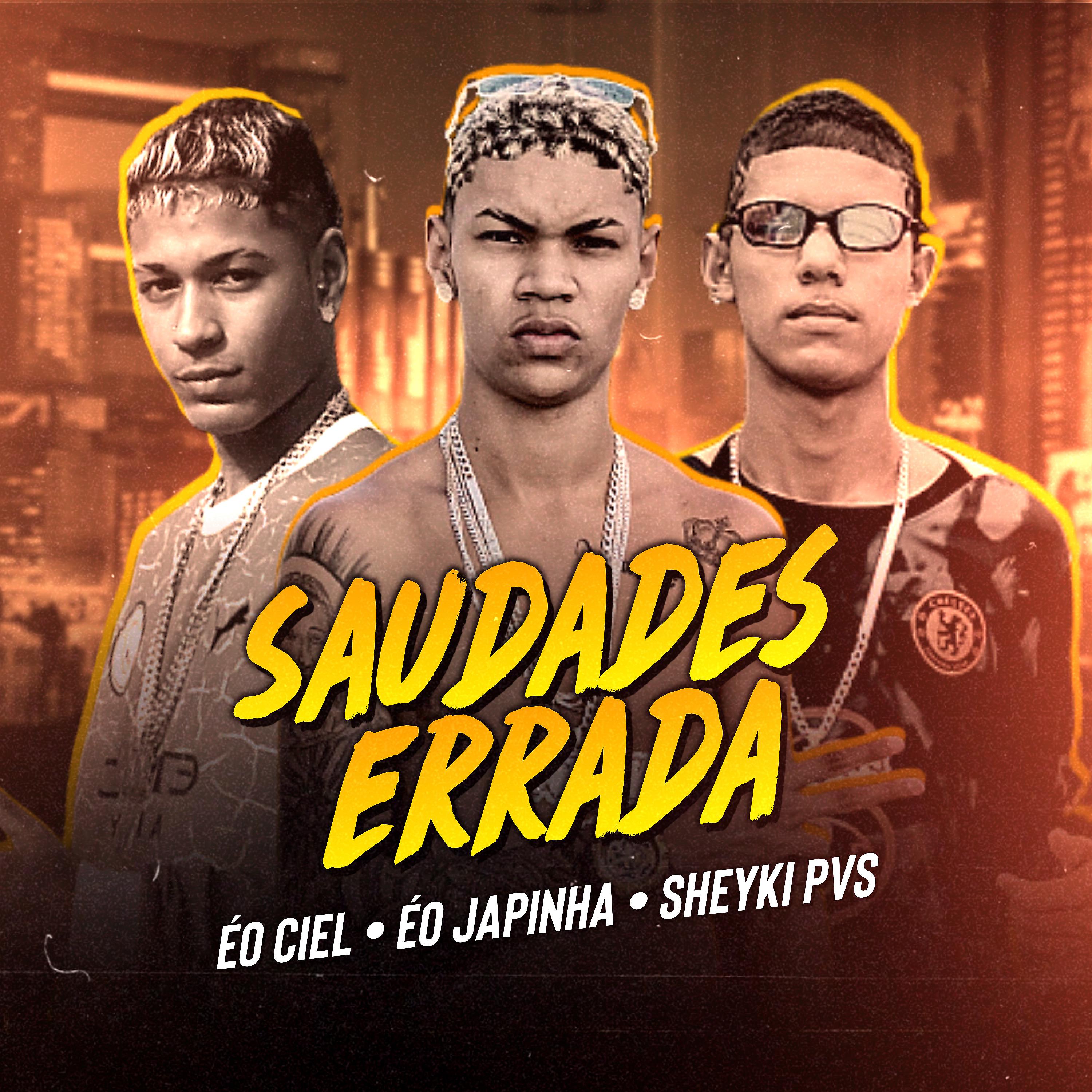 Постер альбома Saudades Errada