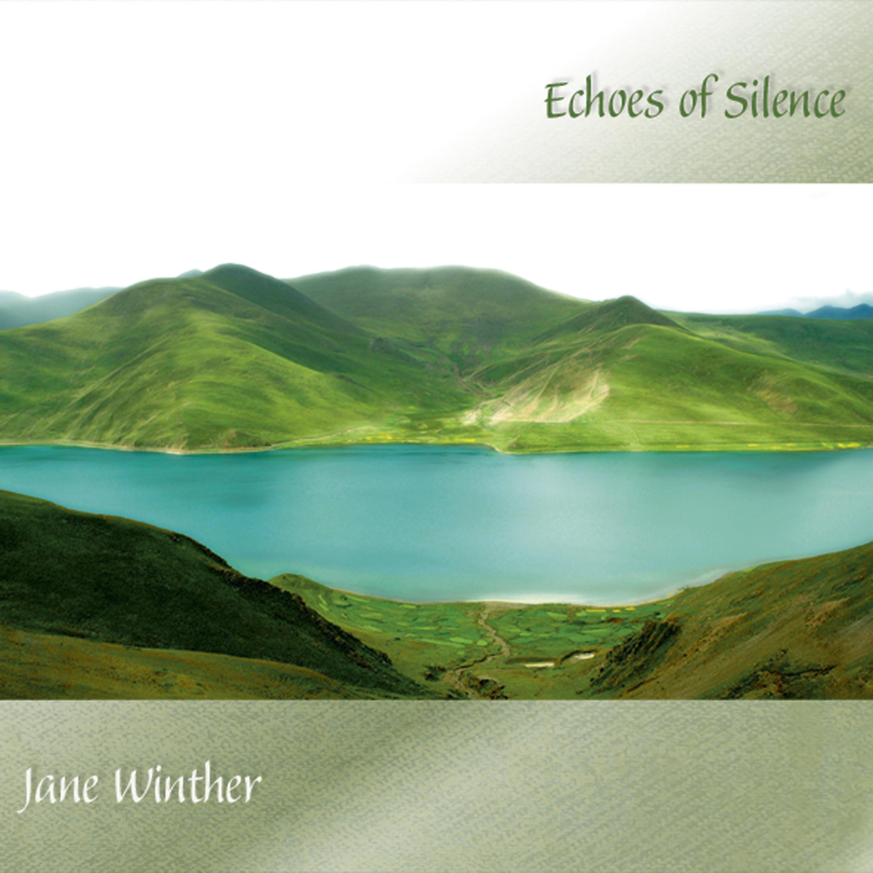 Постер альбома Echoes of Silence