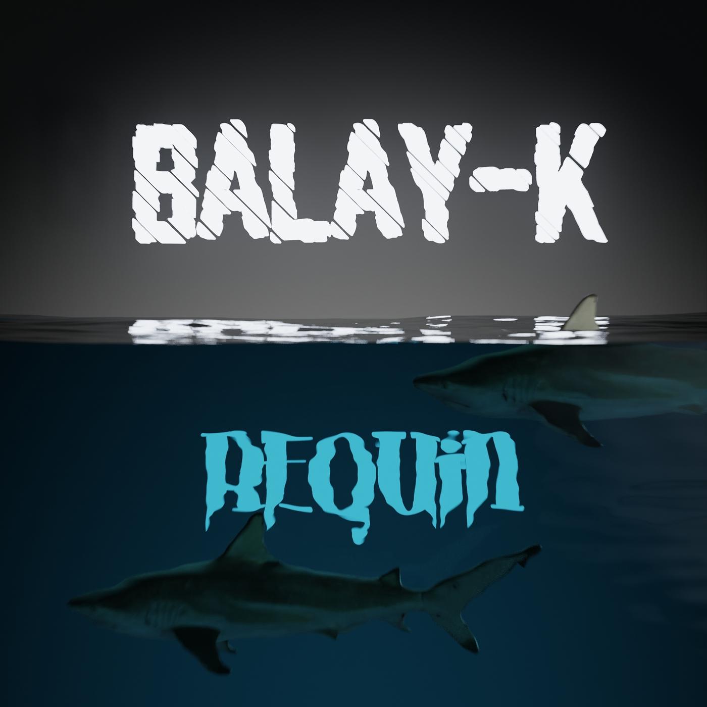 Постер альбома Requin