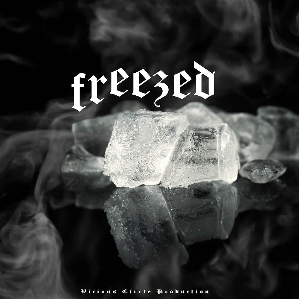 Постер альбома Freezed