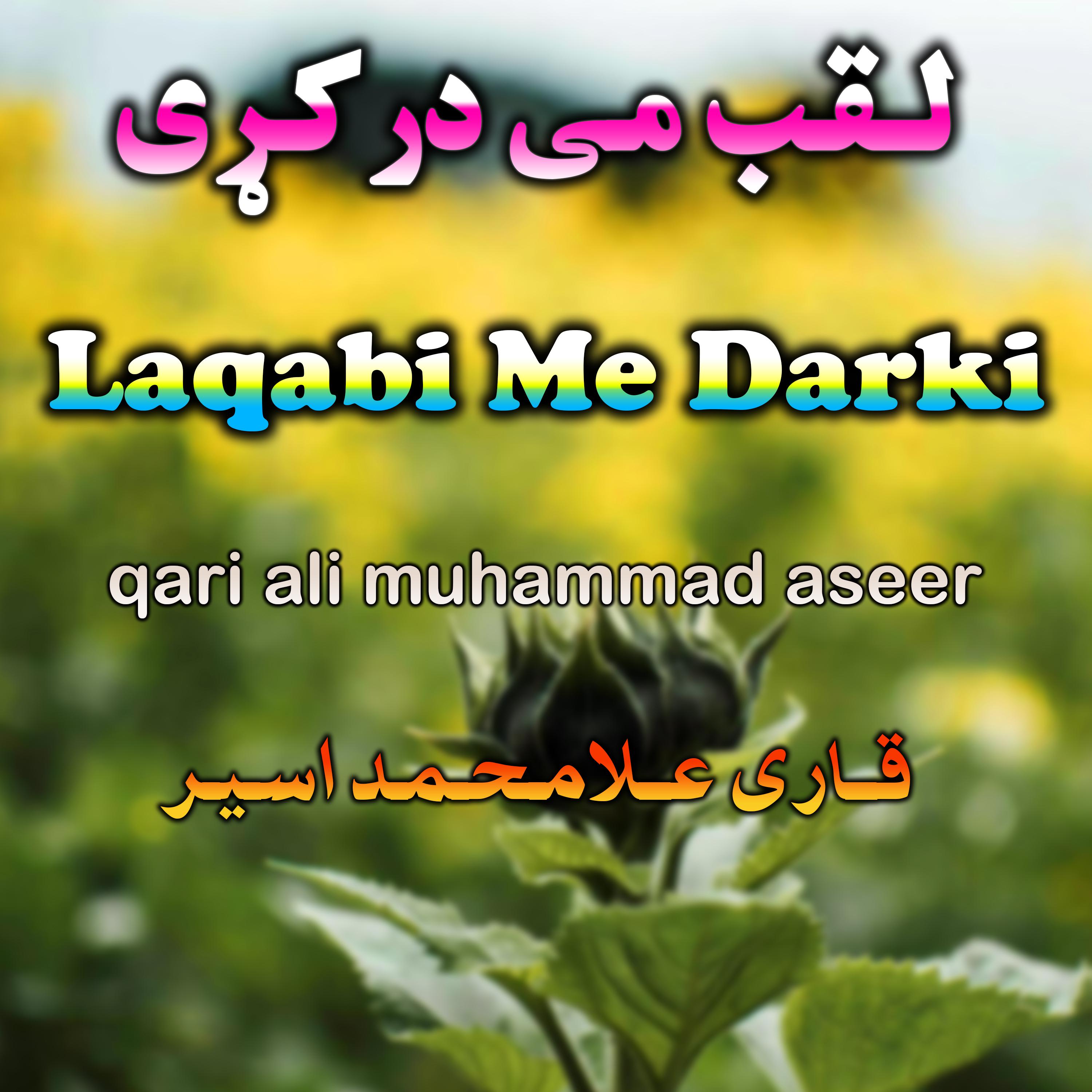 Постер альбома Laqabi Me Darki