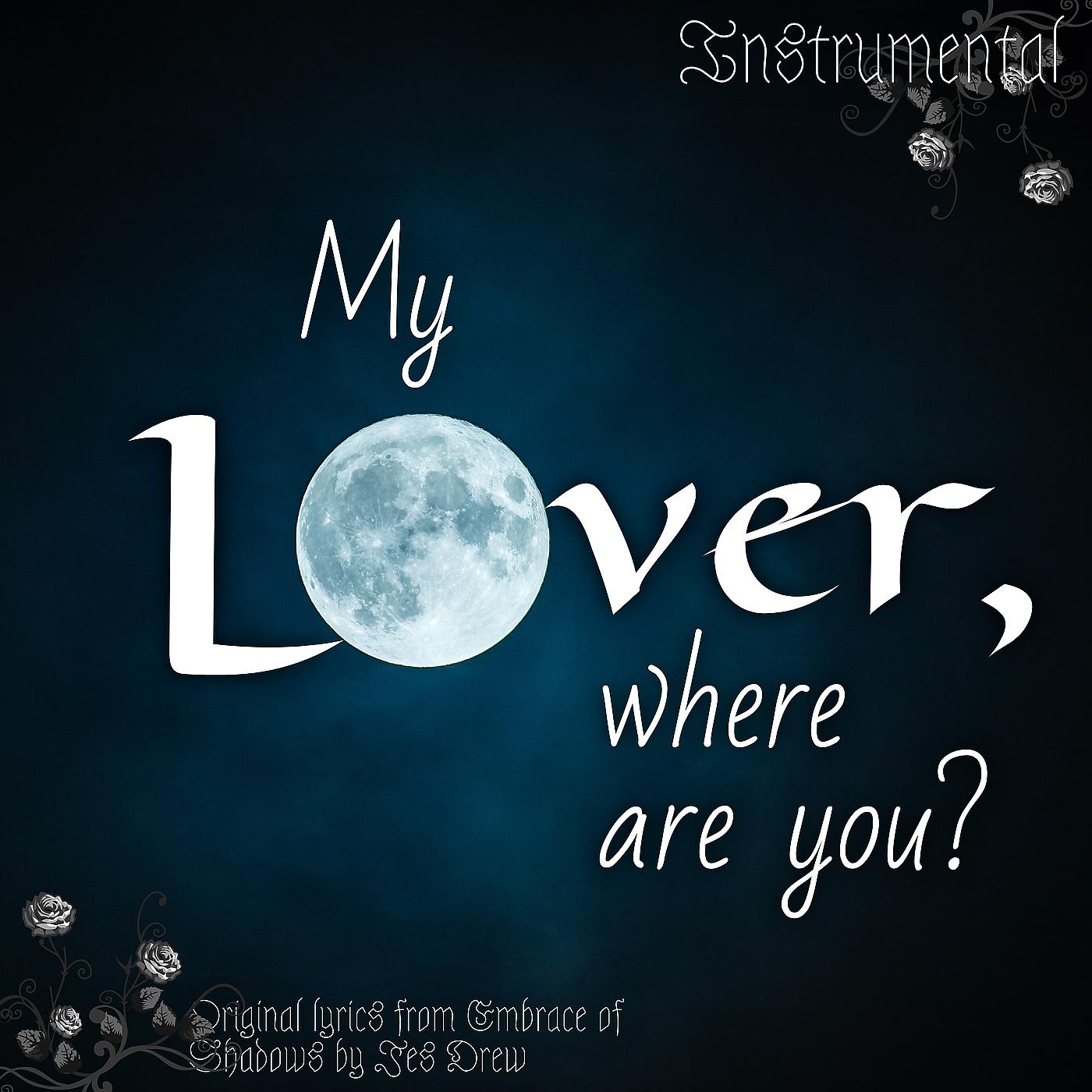 Постер альбома My Lover, Where Are You? (Instrumental)