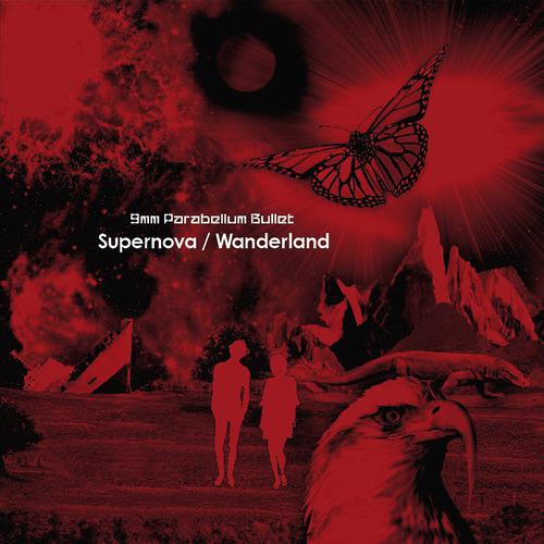 Постер альбома Supernova / Wanderland