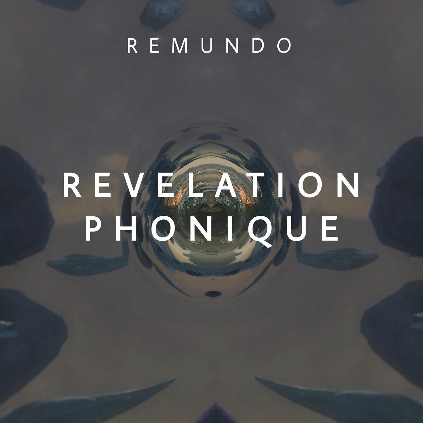 Постер альбома Revelation Phonique