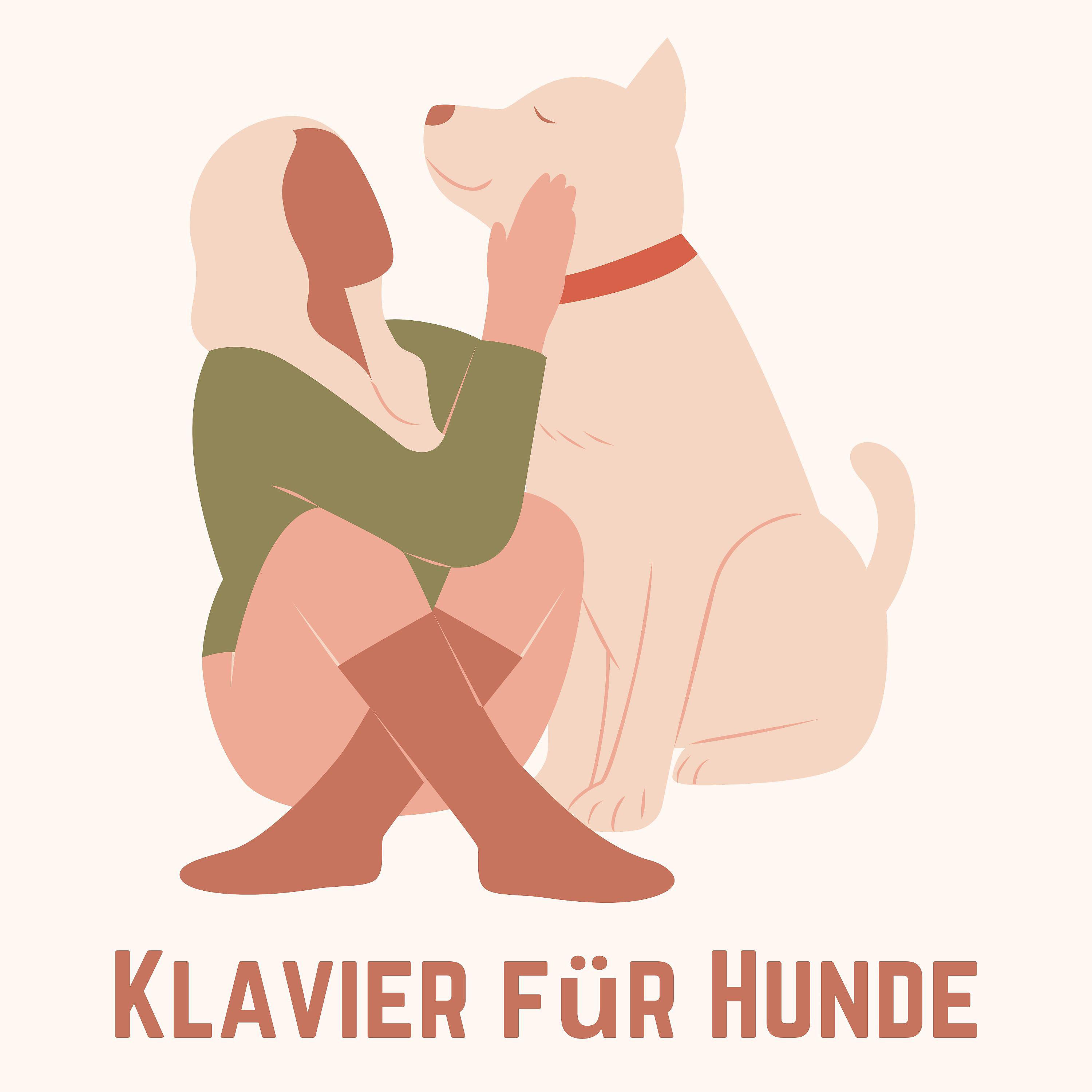 Постер альбома Klavier für Hunde
