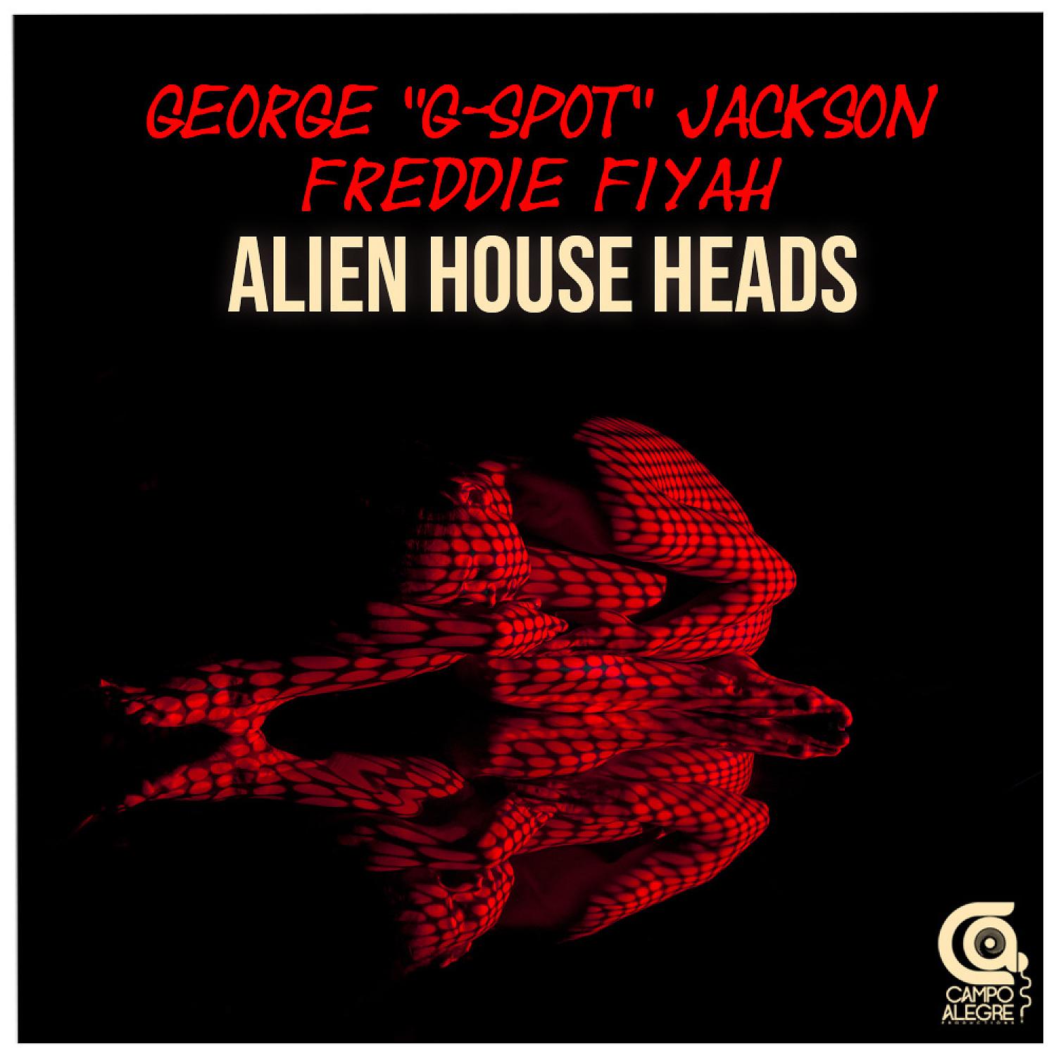 Постер альбома Alien House Heads