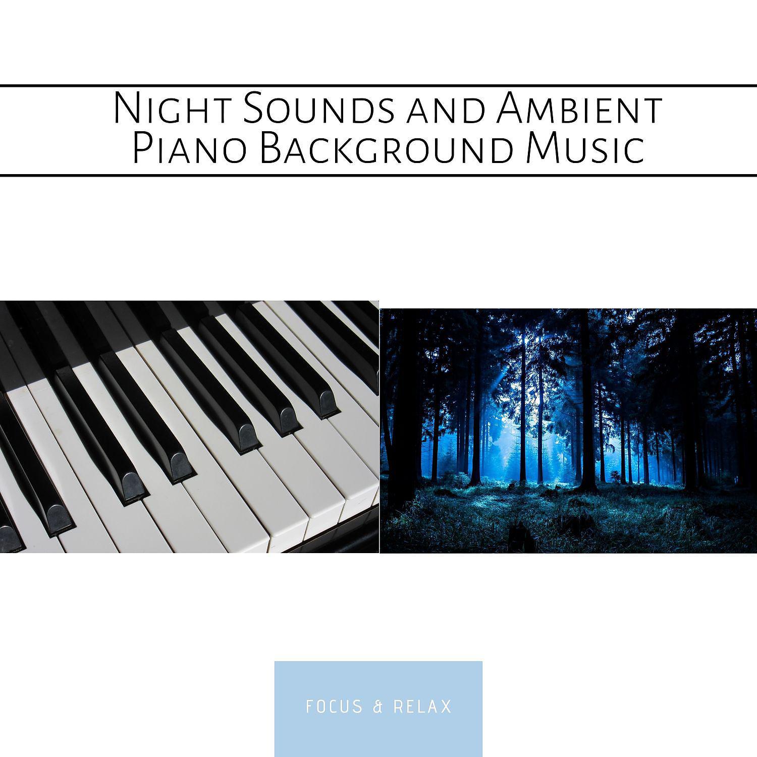 Постер альбома Night Sounds and Ambient Piano Background Music