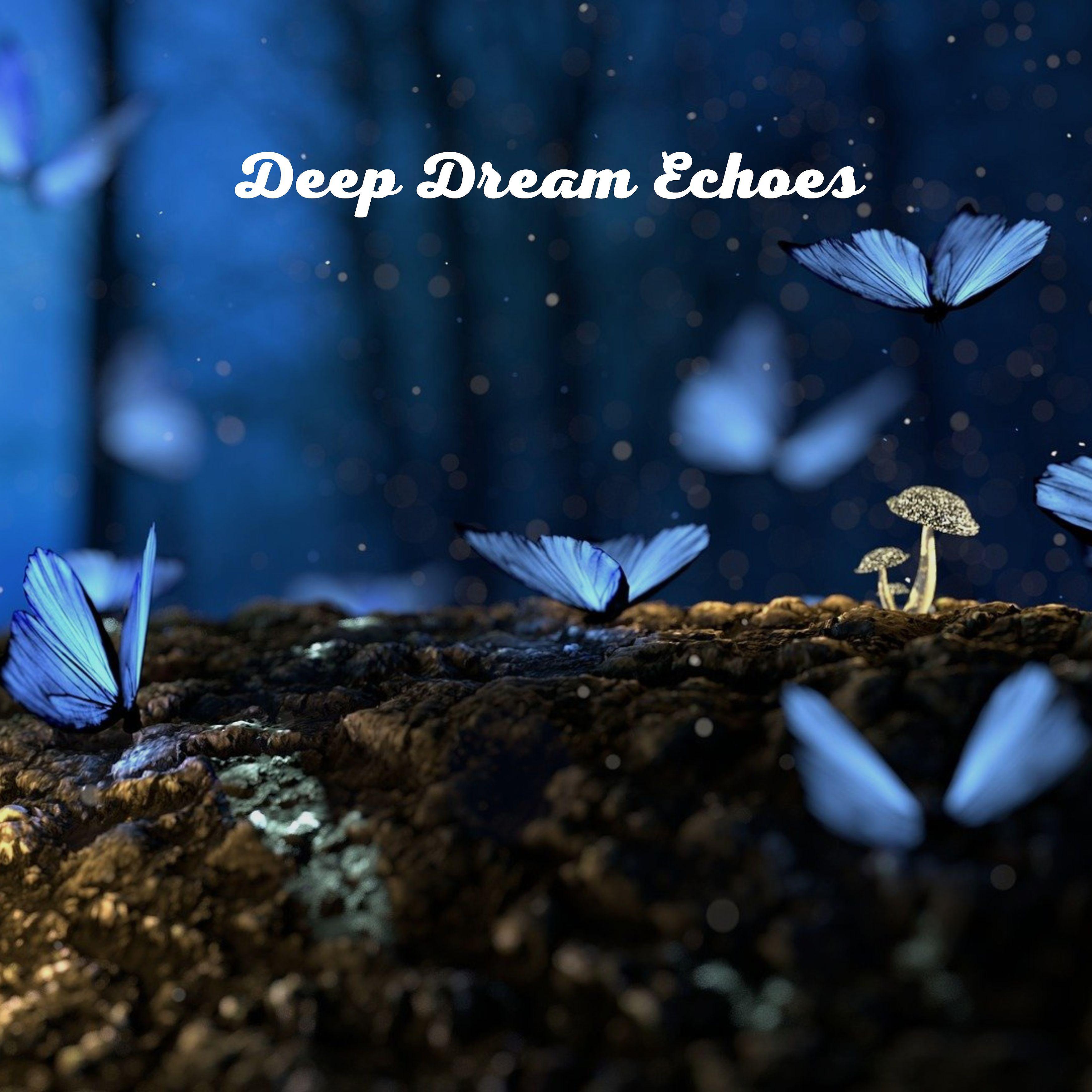Постер альбома Deep Dream Echoes