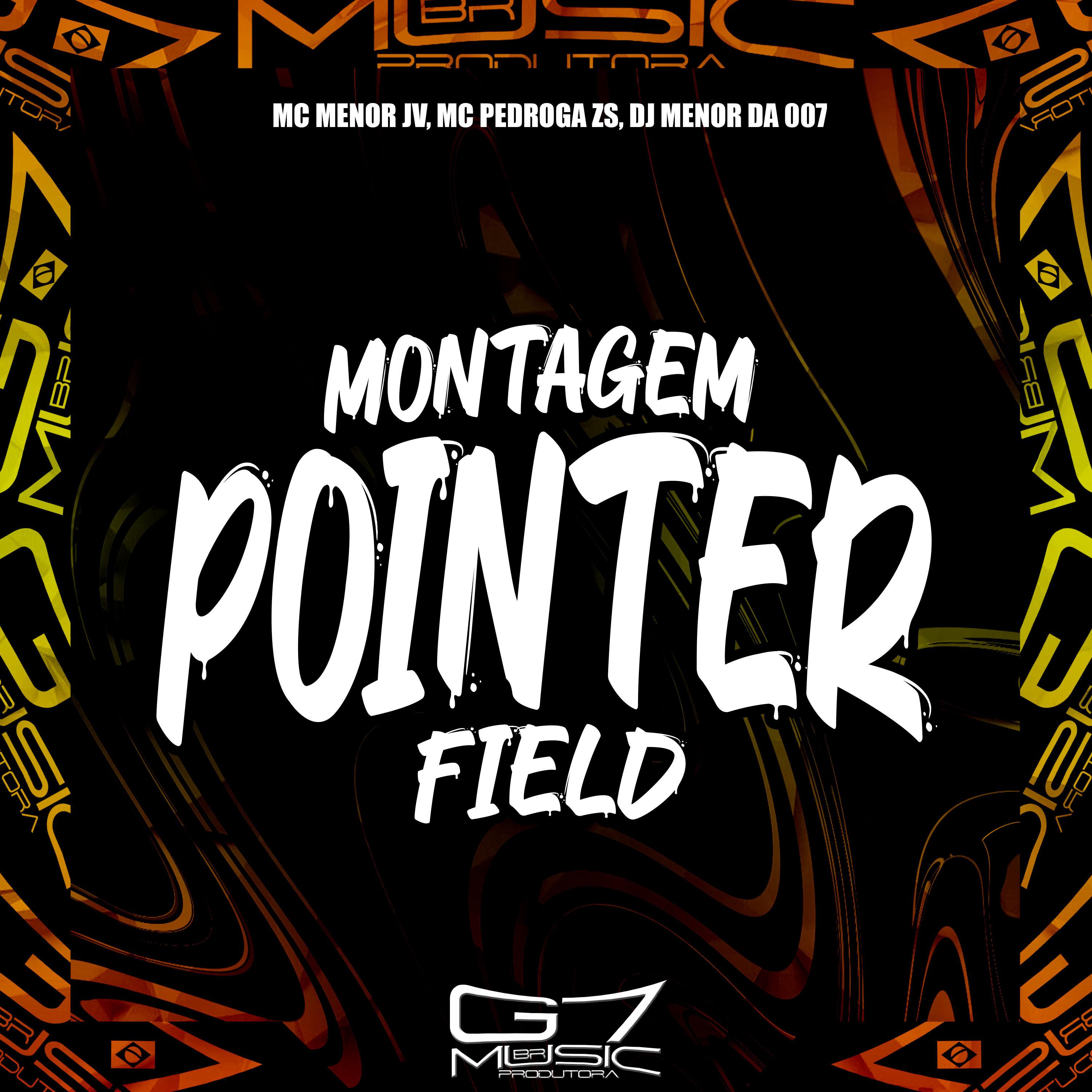 Постер альбома Montagem Pointer Field