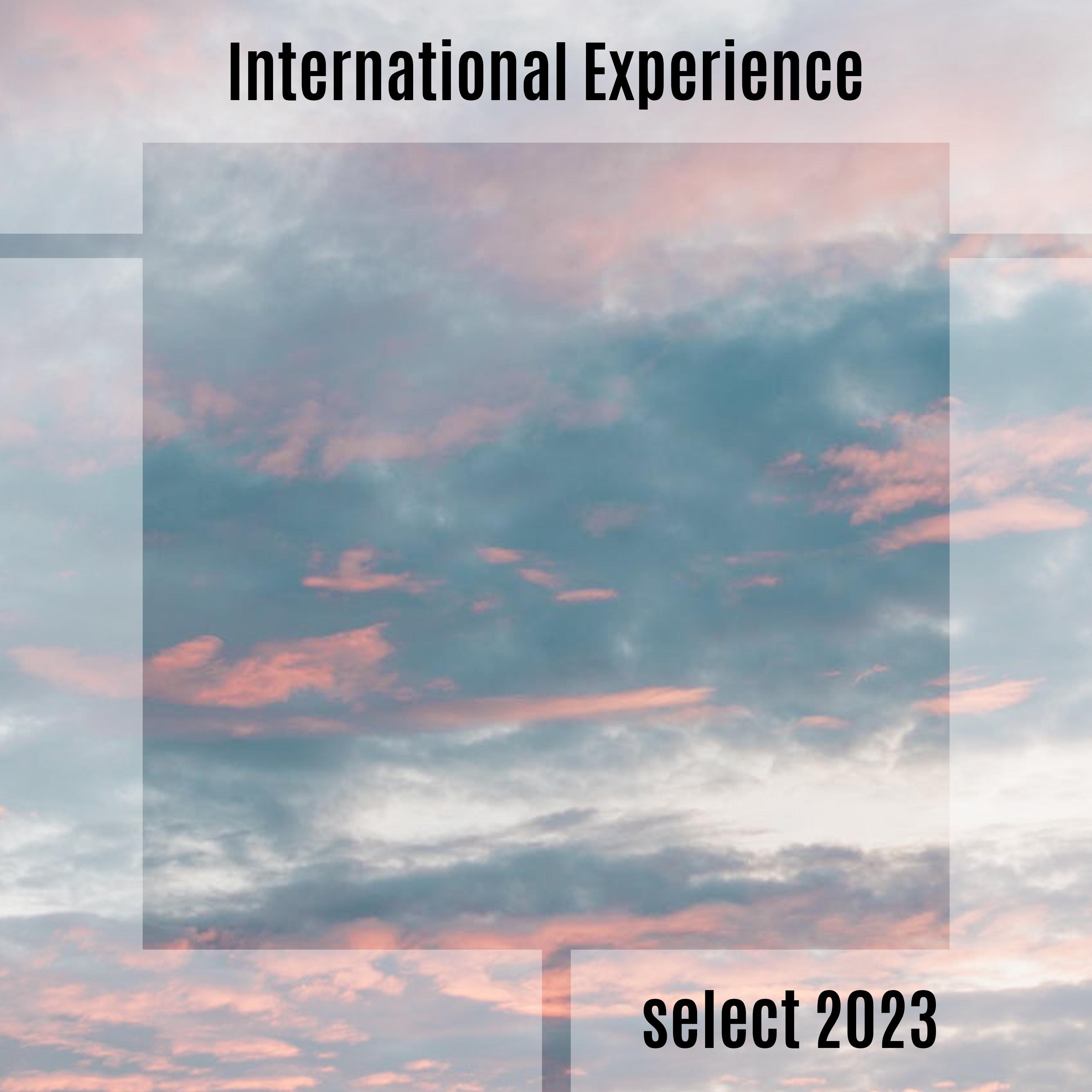 Постер альбома International Experience Select 2023