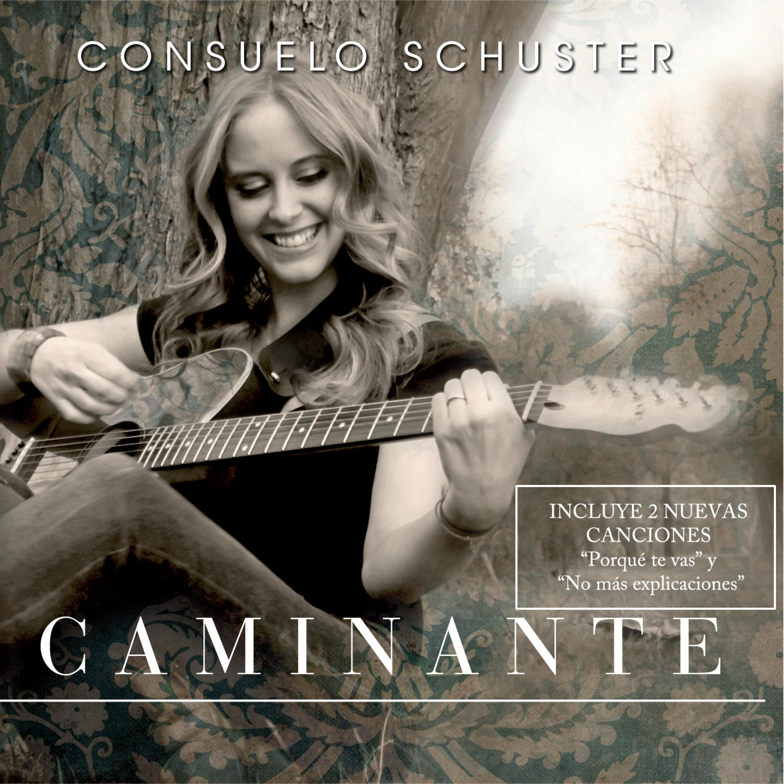 Постер альбома Caminante