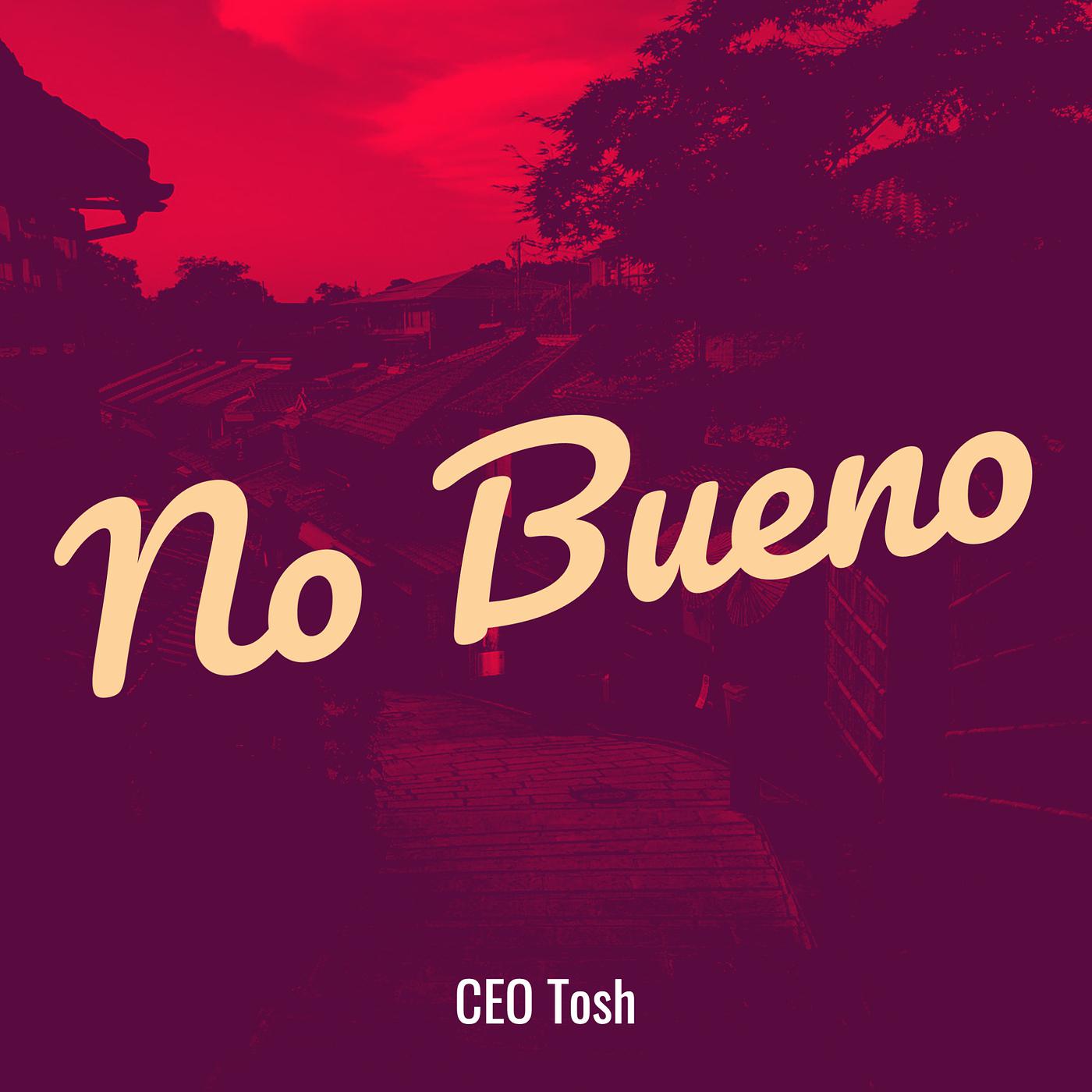 Постер альбома No Bueno