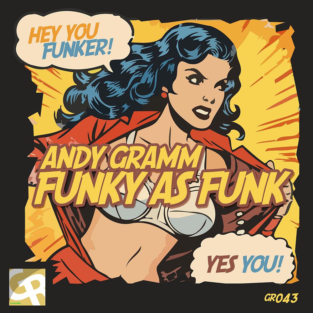 Постер альбома Funky As Funk