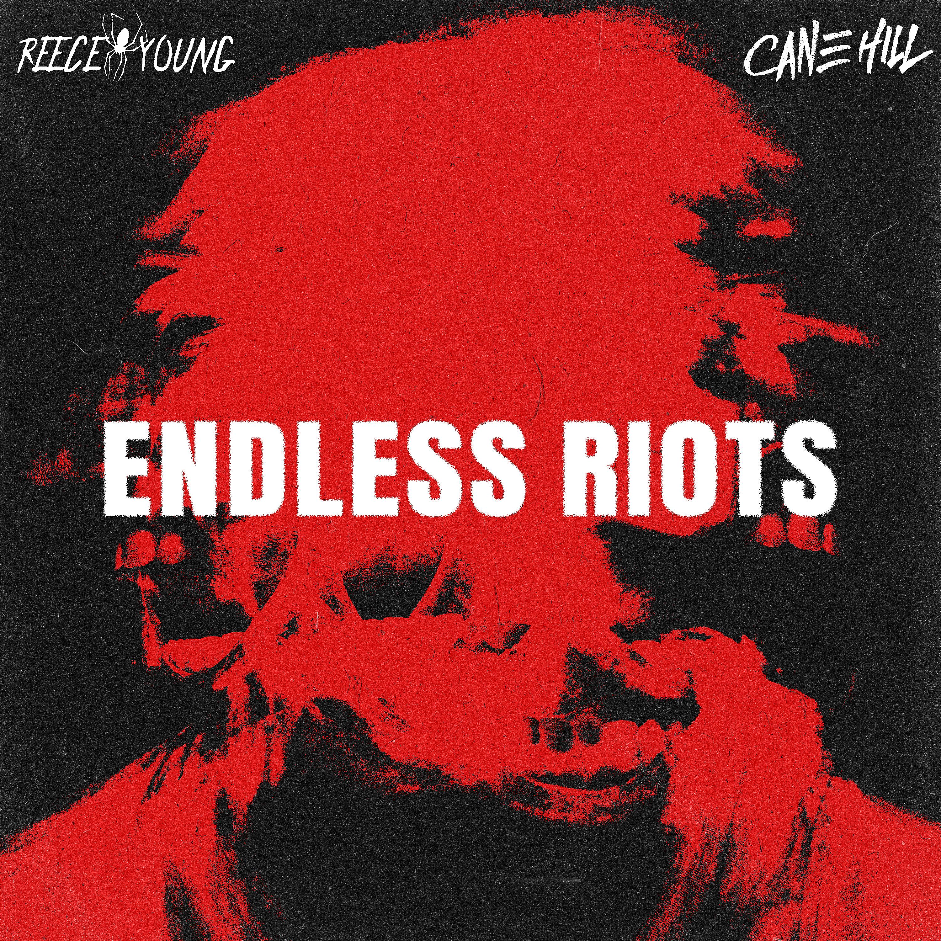 Постер альбома Endless Riots