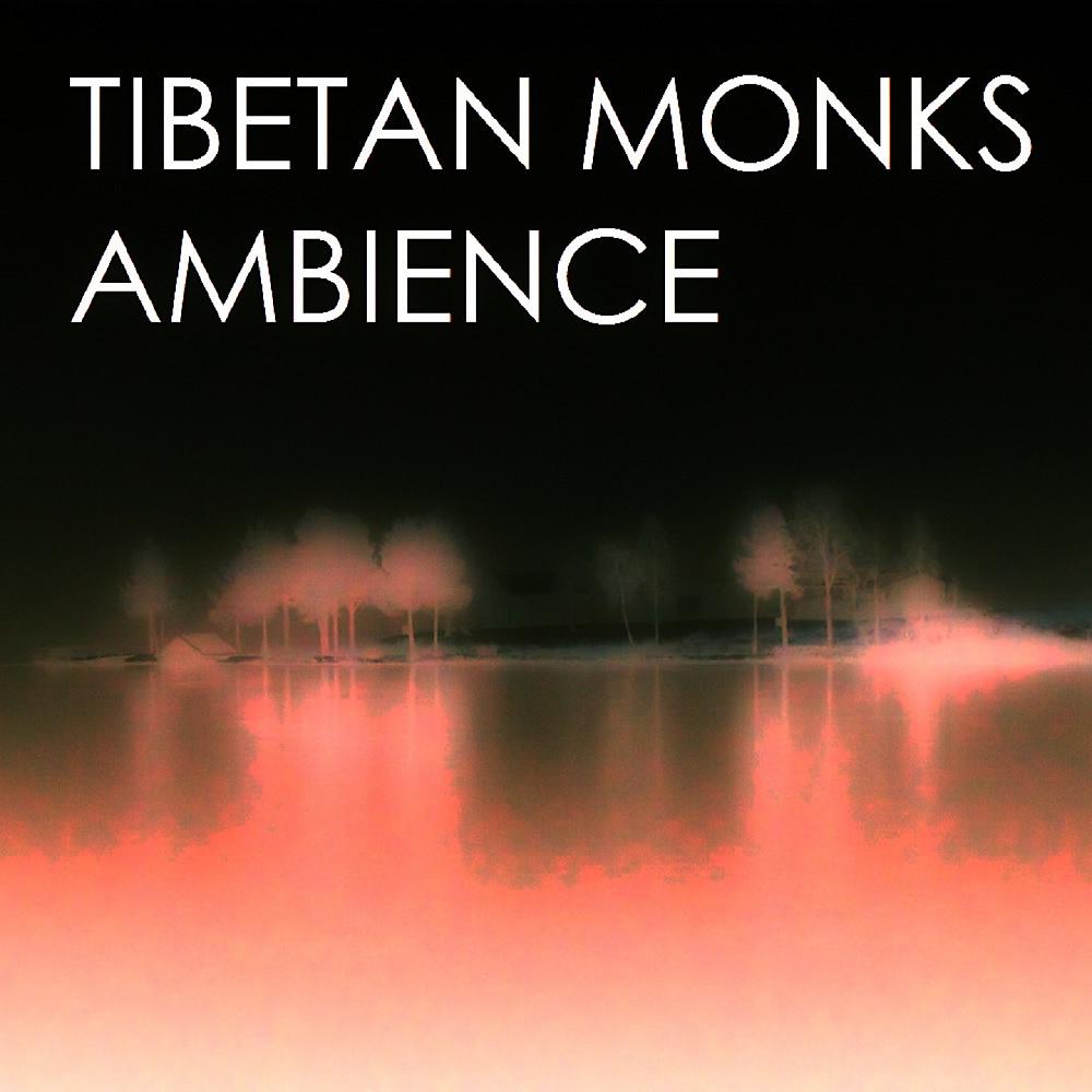 Постер альбома Ambience (Remixes)