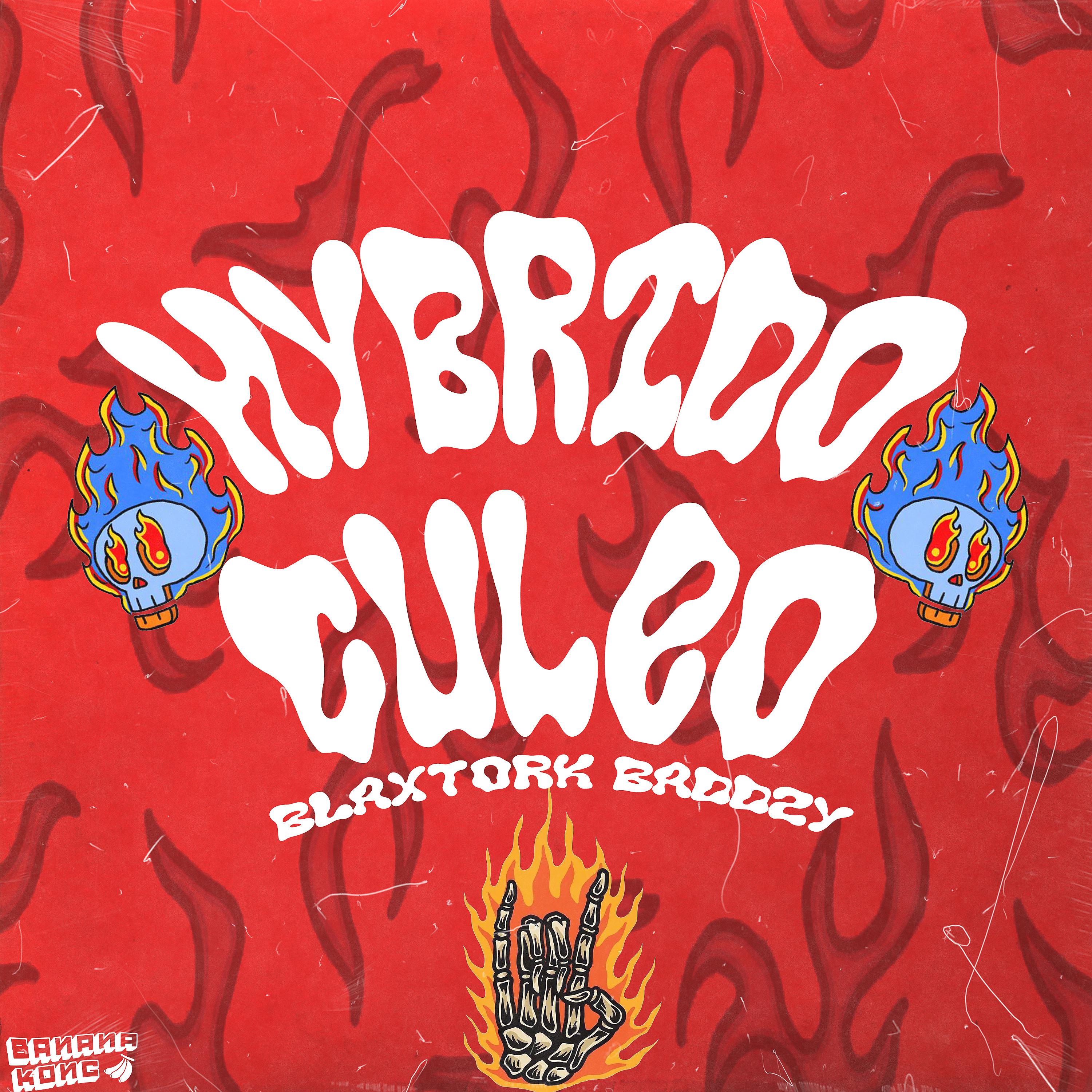 Постер альбома Hybrido Culeo