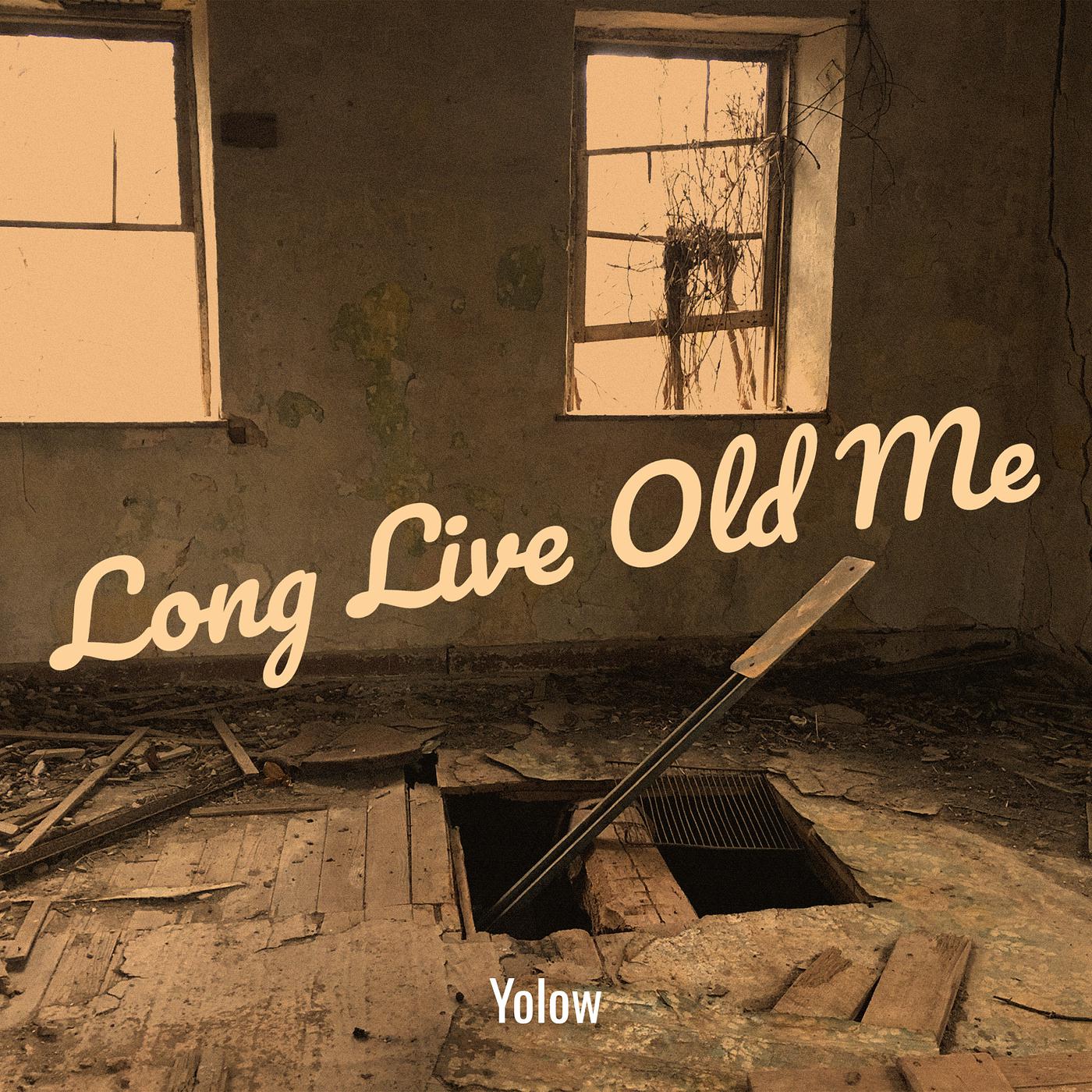 Постер альбома Long Live Old Me