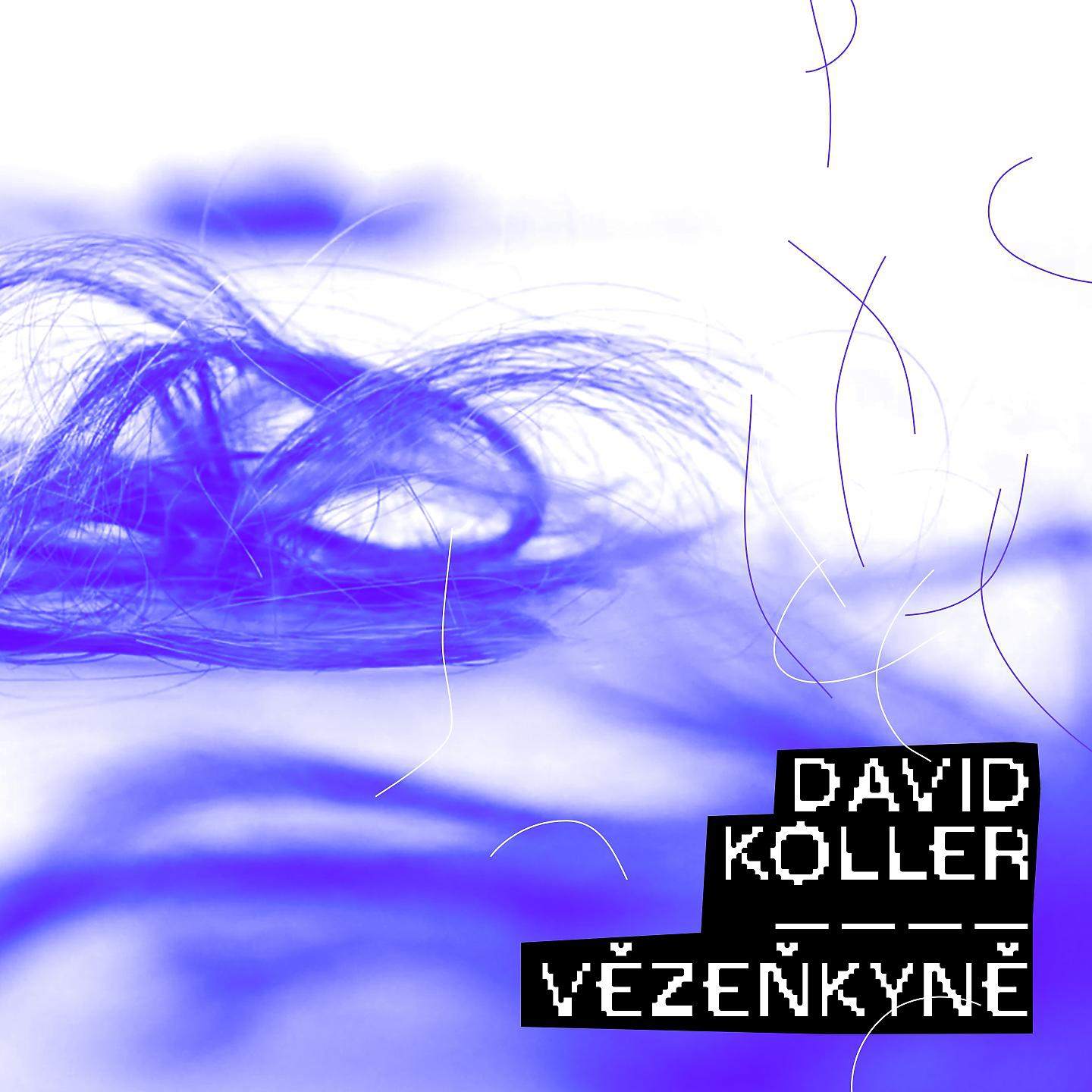Постер альбома Vězenkyně