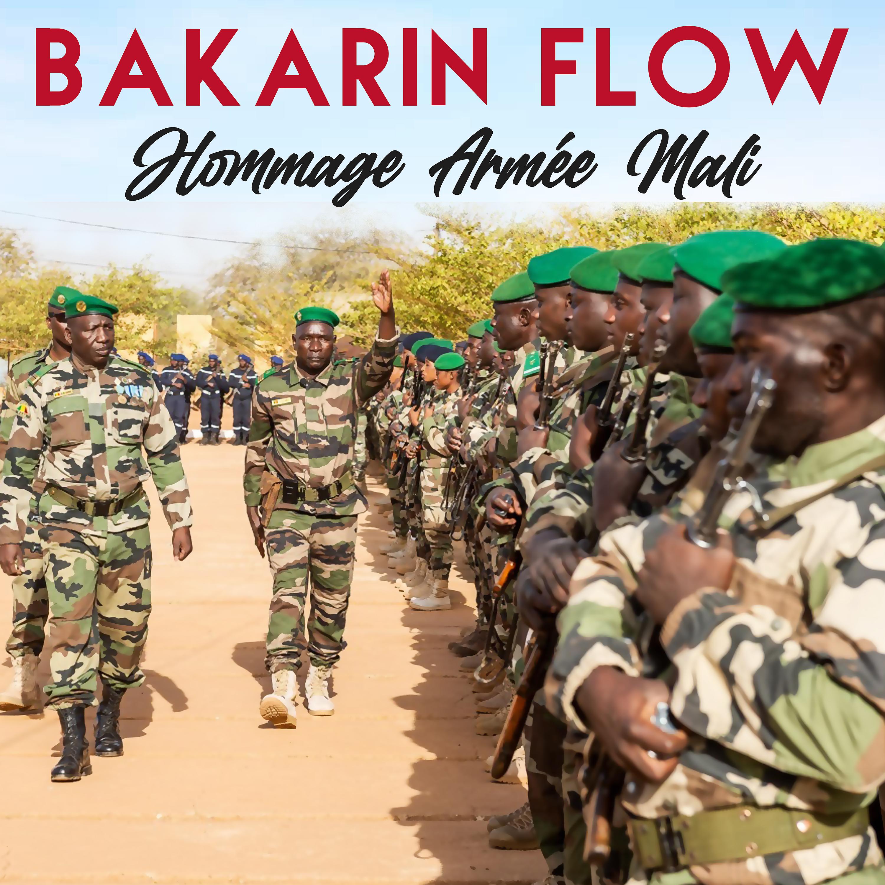 Постер альбома Hommage Armée Mali