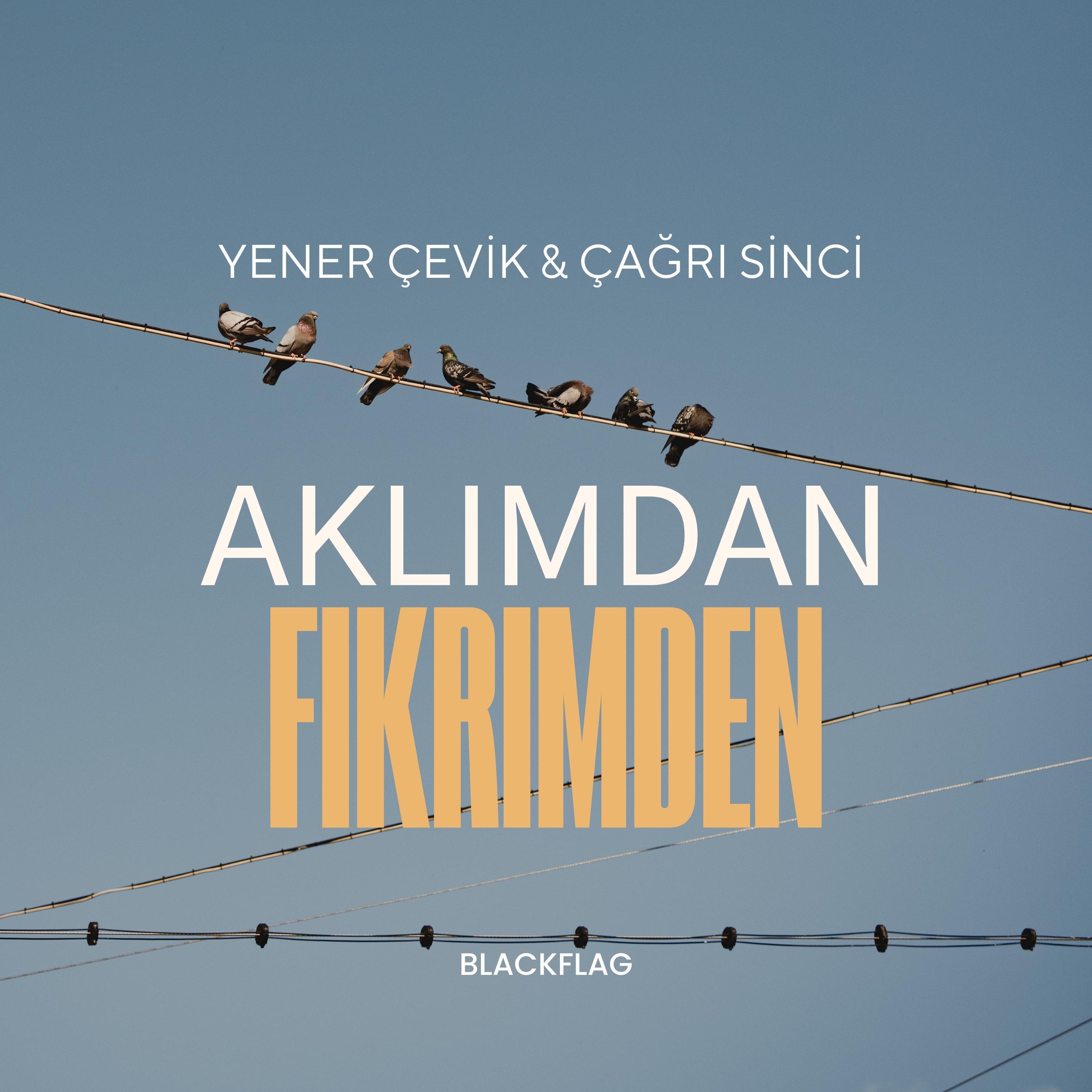 Постер альбома Aklımdan Fikrimden