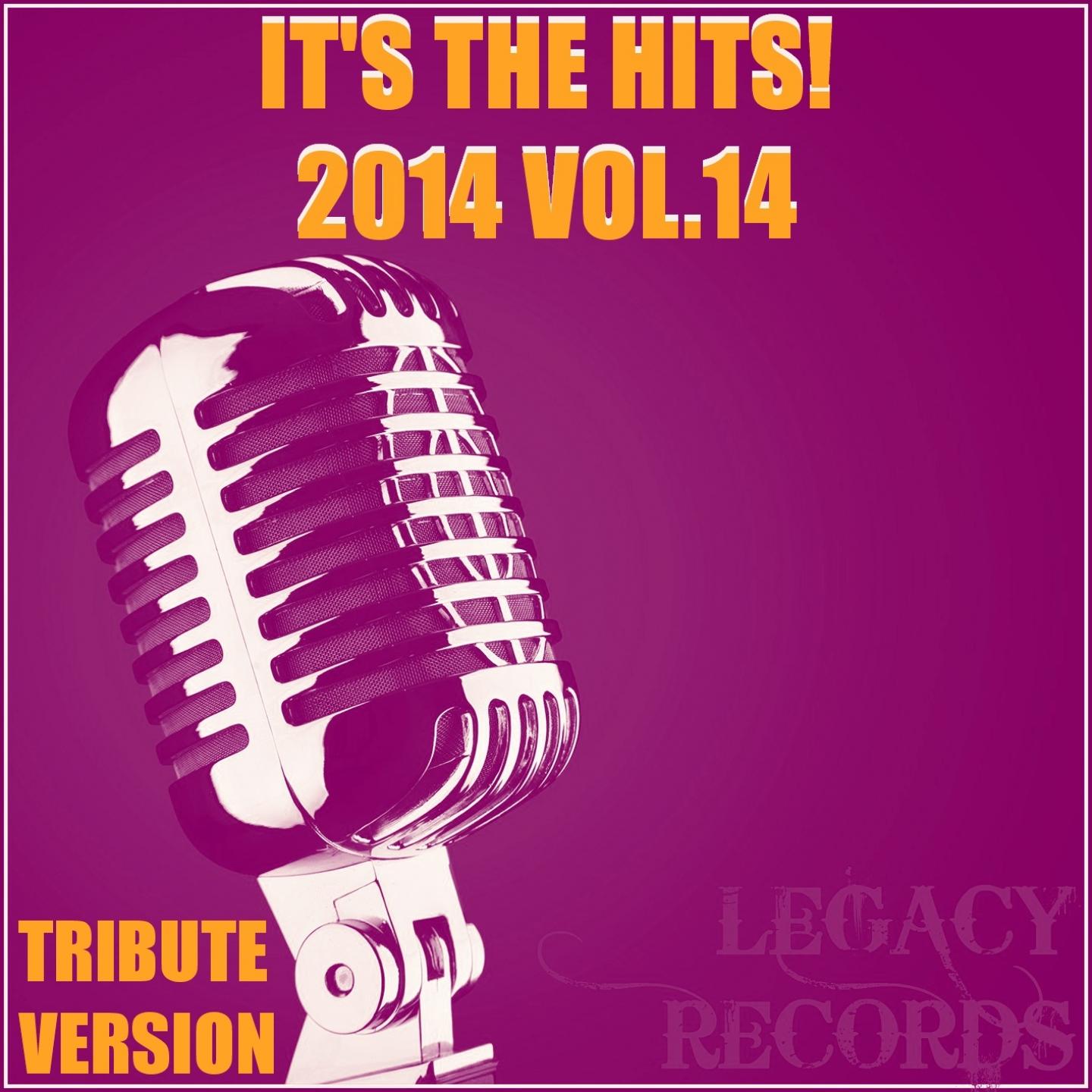 Постер альбома It's the Hits! 2014, Vol. 14