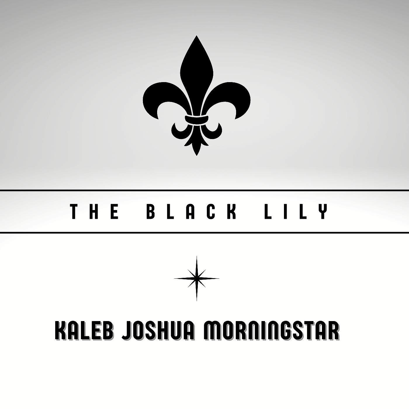 Постер альбома The Black Lily