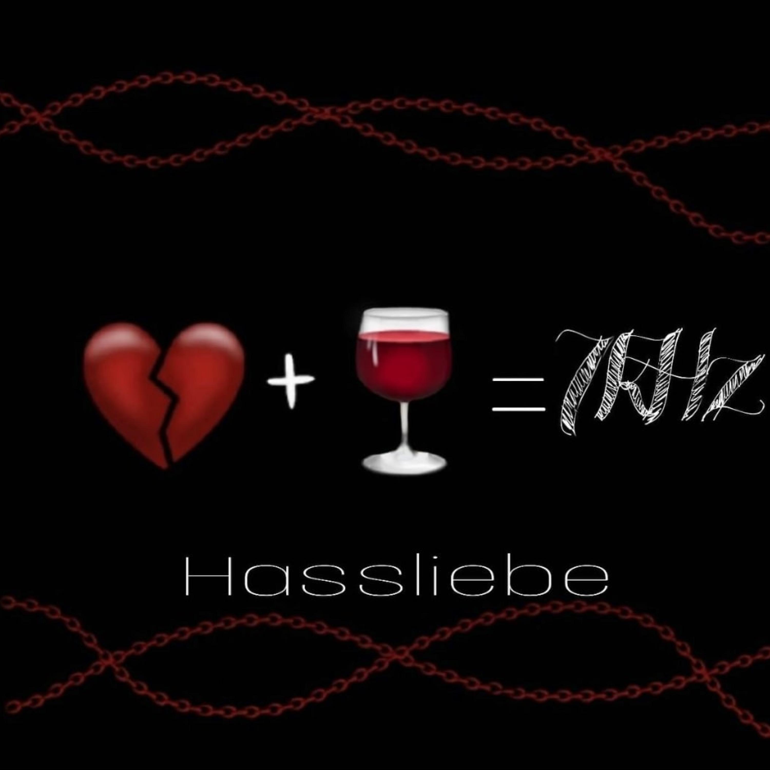 Постер альбома Hassliebe