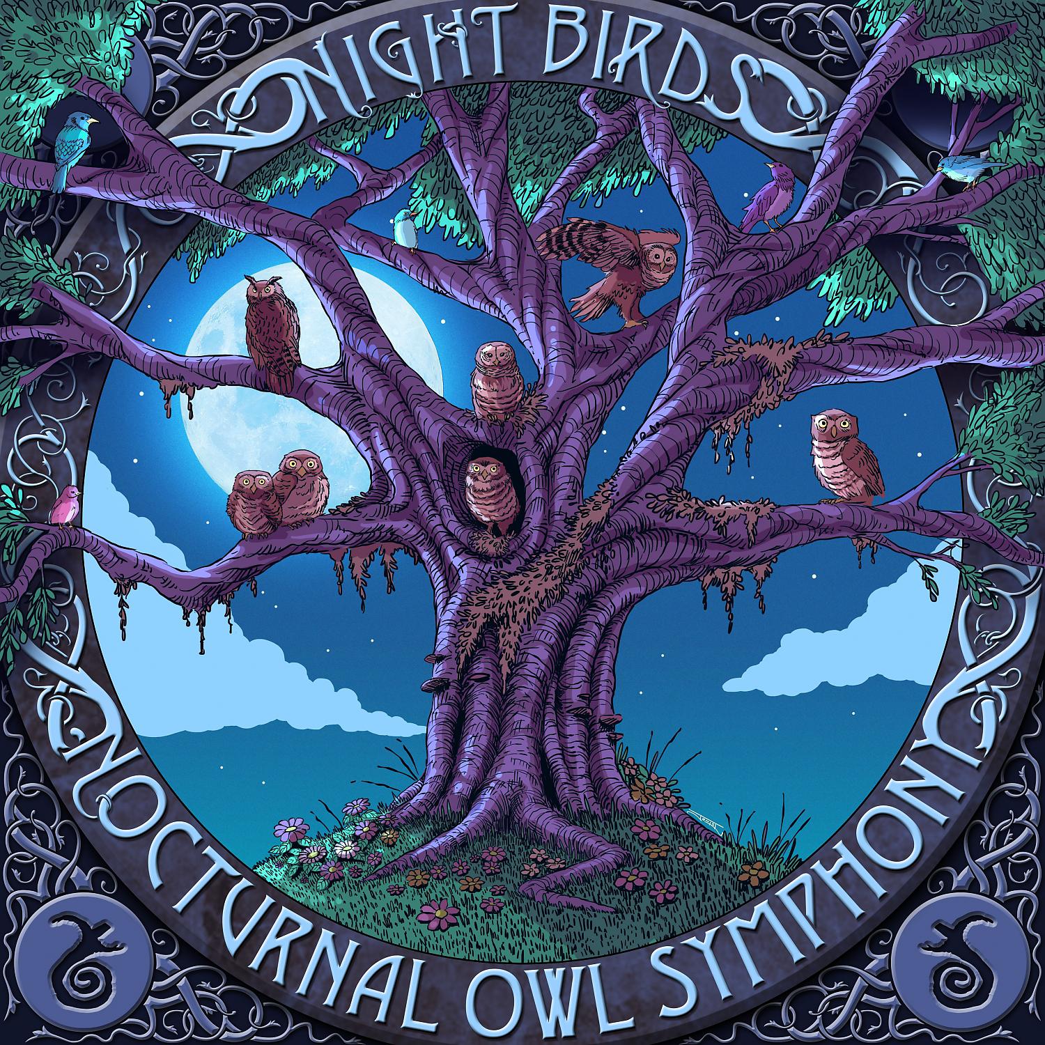 Постер альбома Nocturnal Owl Symphony