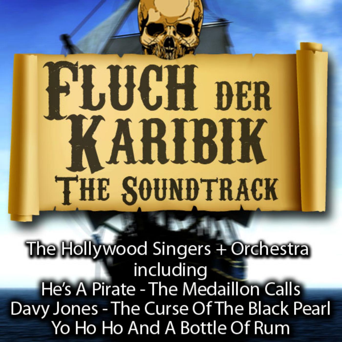 Постер альбома Fluch Der Karibik