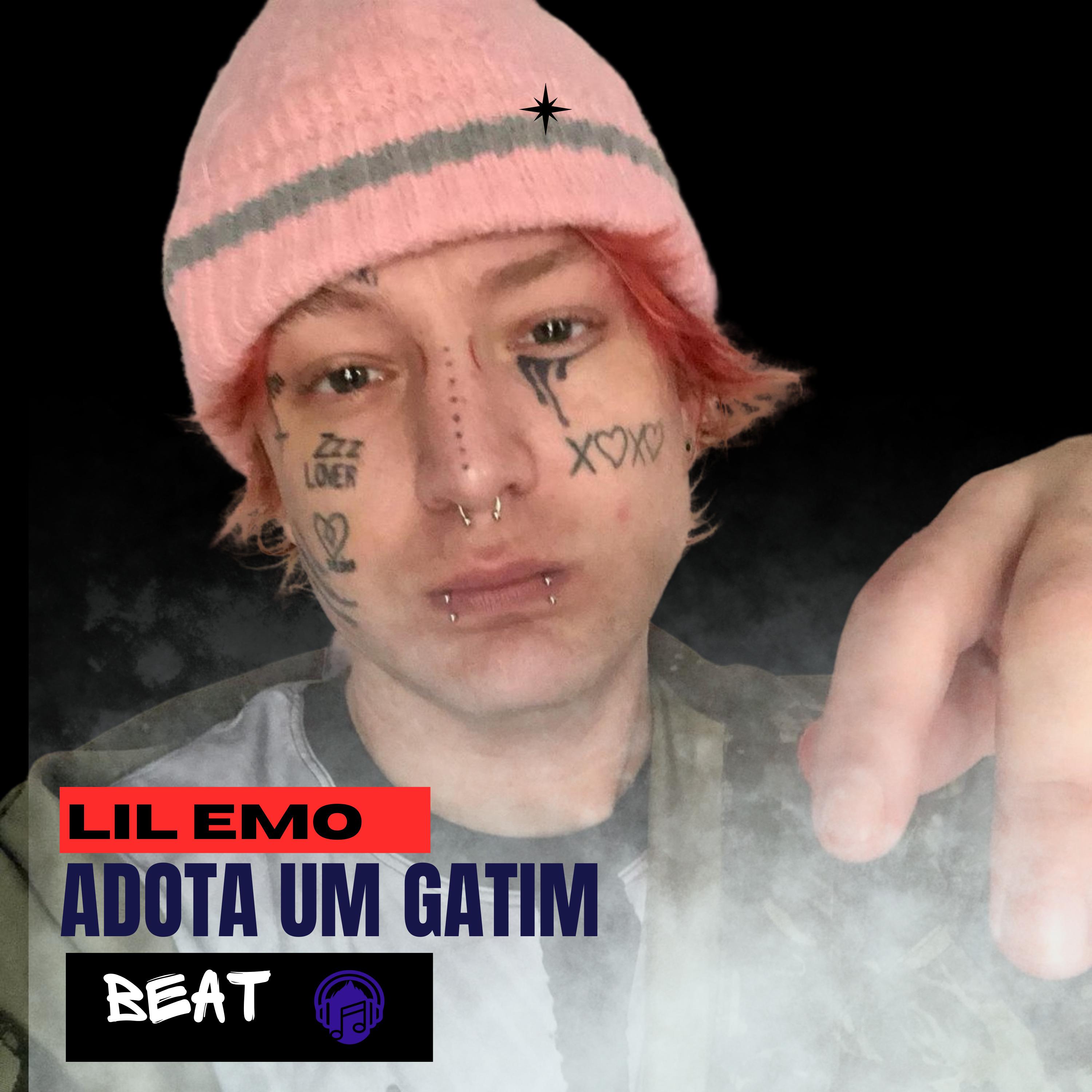Постер альбома Beat - Adota Um Gatin