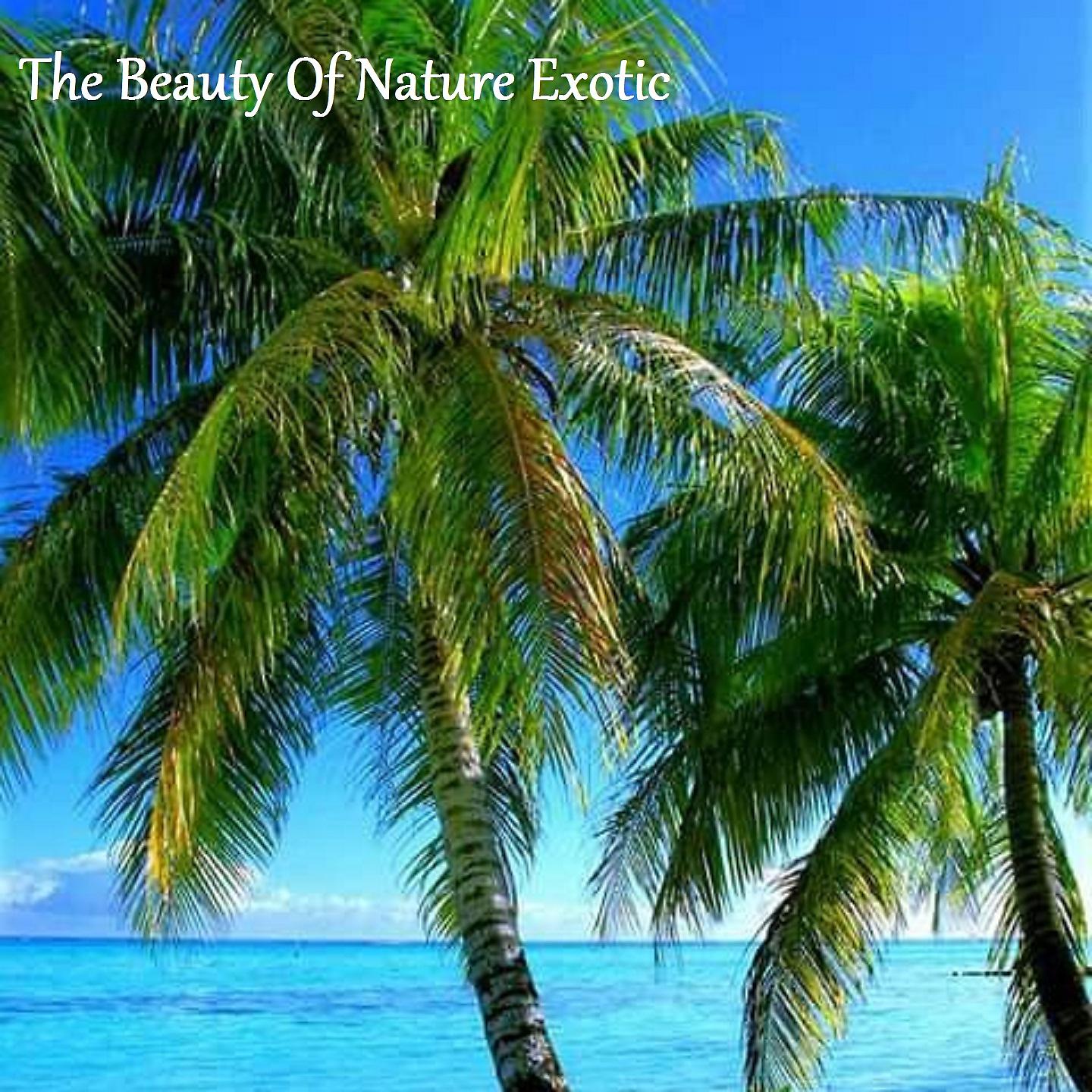 Постер альбома The Beauty Of Nature Exotic