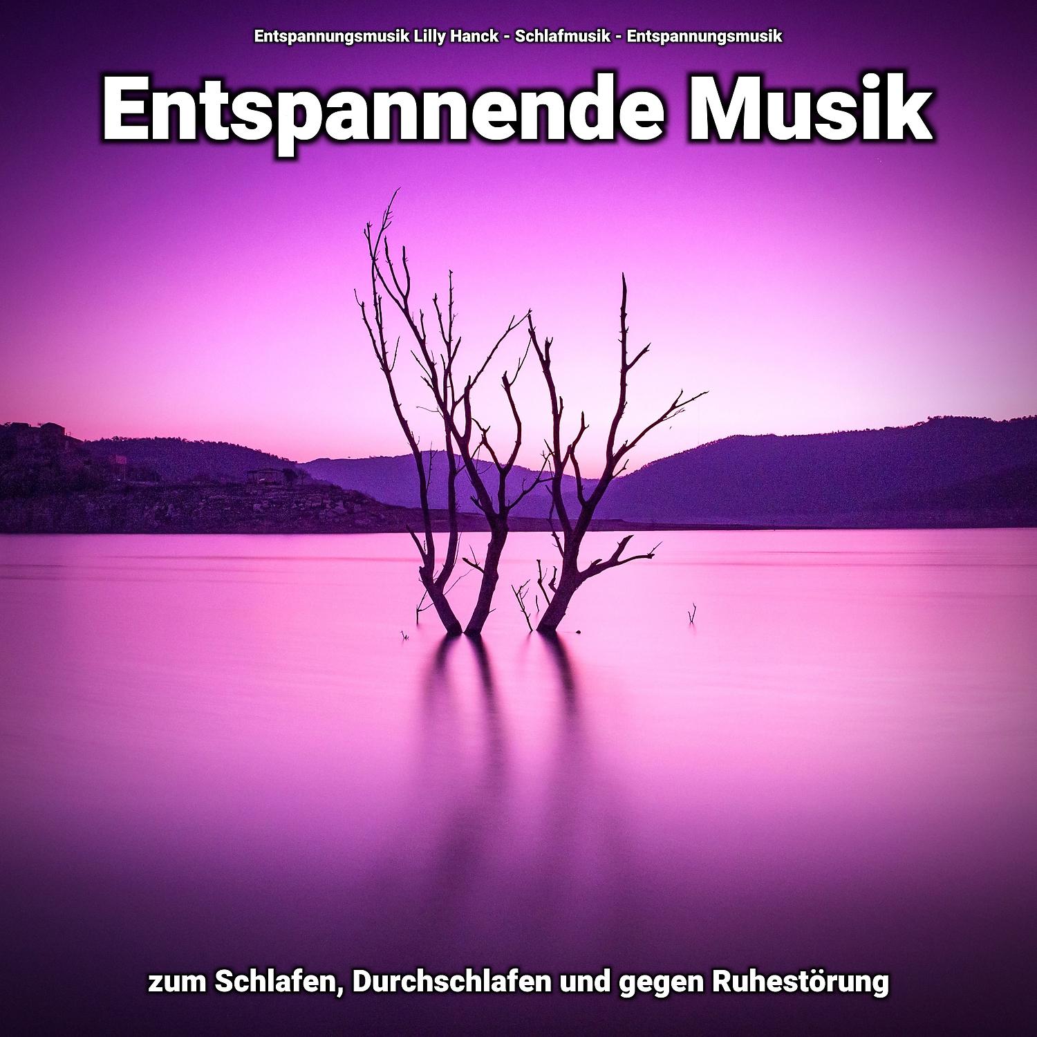Постер альбома Entspannende Musik zum Schlafen, Durchschlafen und gegen Ruhestörung