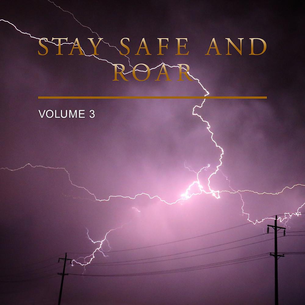Постер альбома Stay Safe and Roar, Vol. 3
