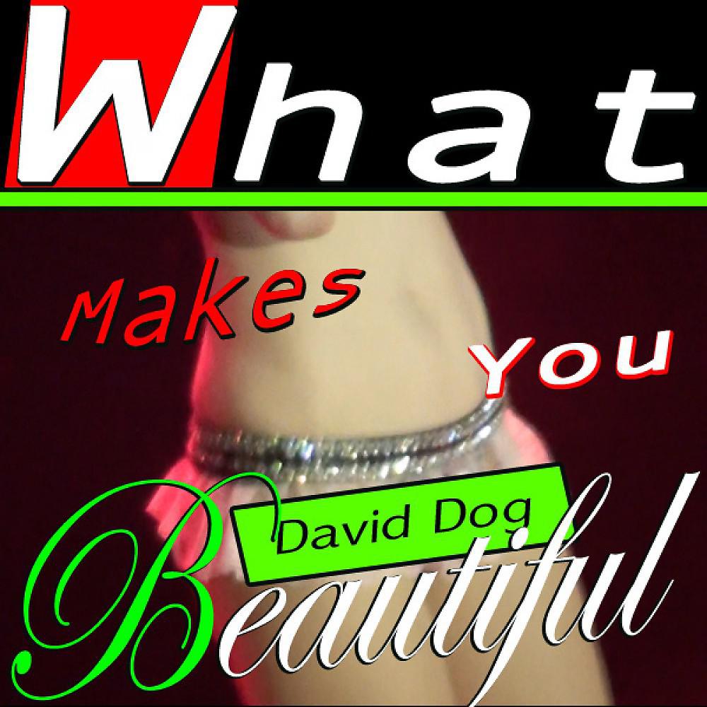 Постер альбома What Makes You Beautiful