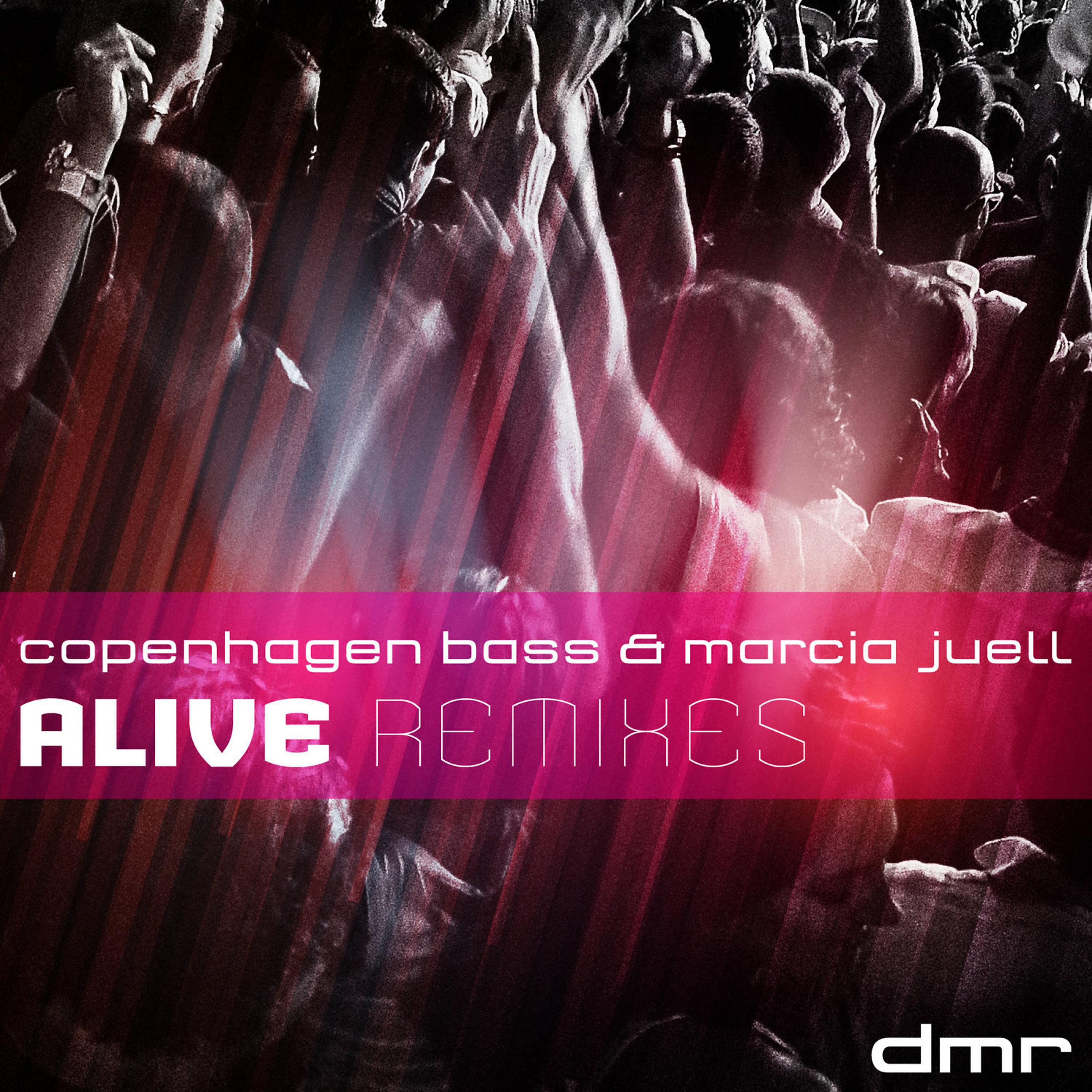 Постер альбома Alive Remixes