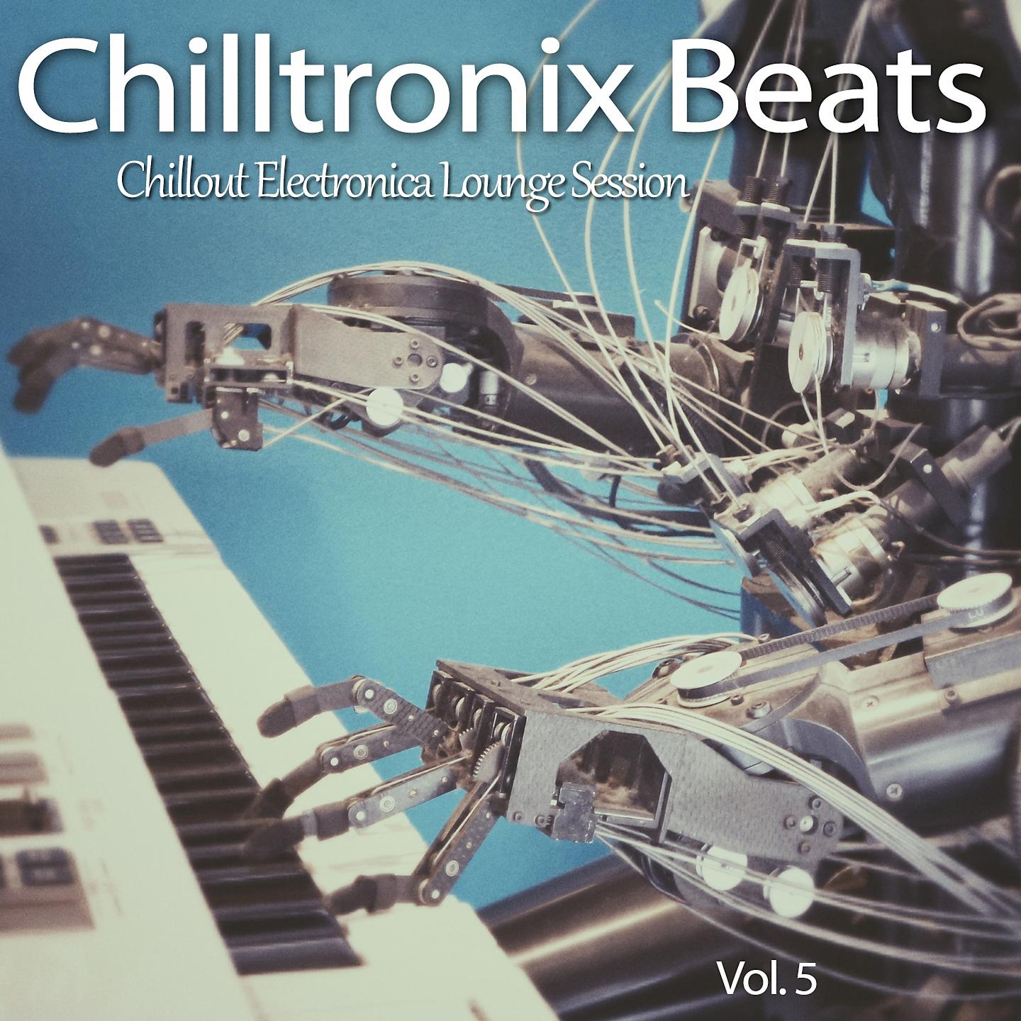 Постер альбома Chilltronix Beats, Vol. 5