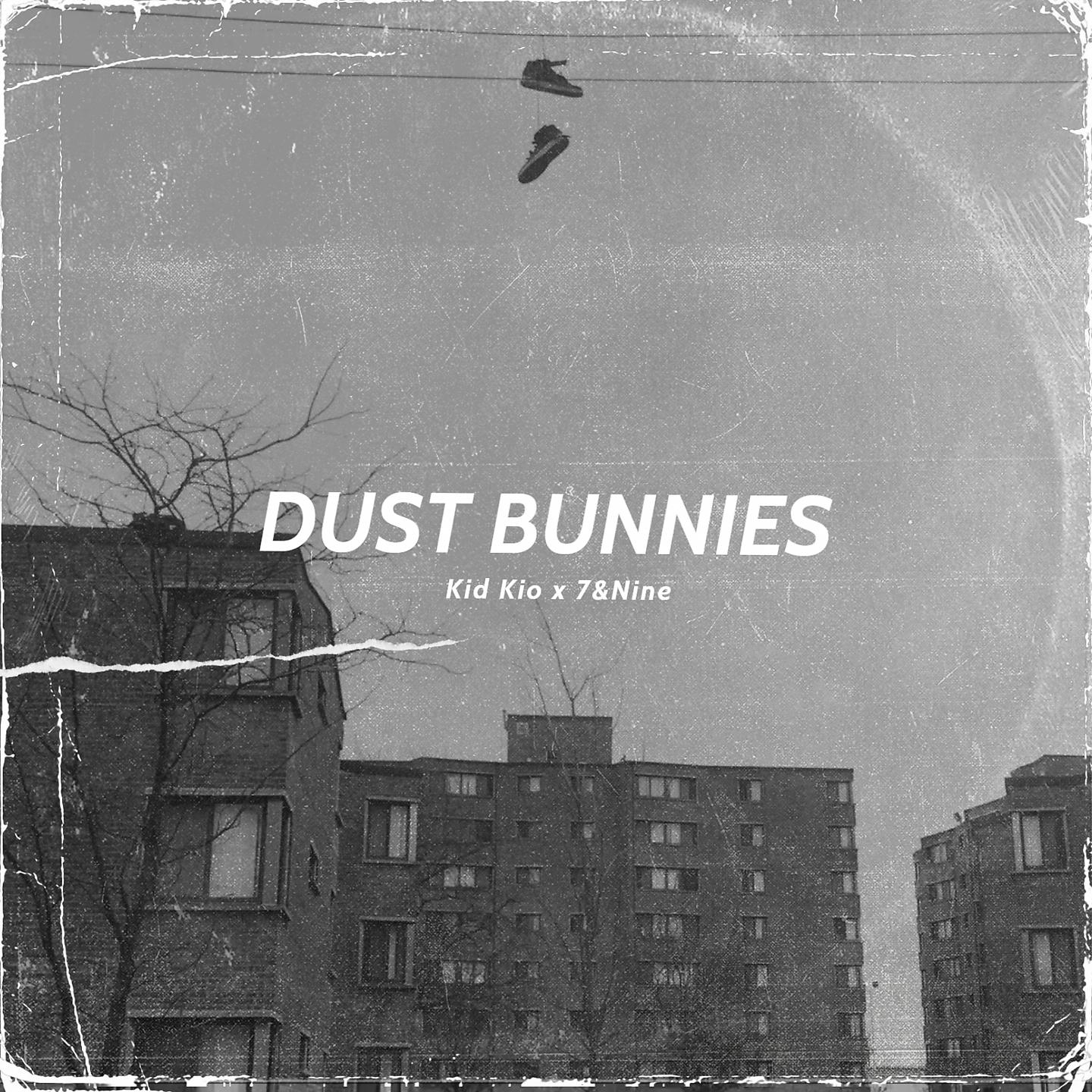 Постер альбома Dust Bunnies