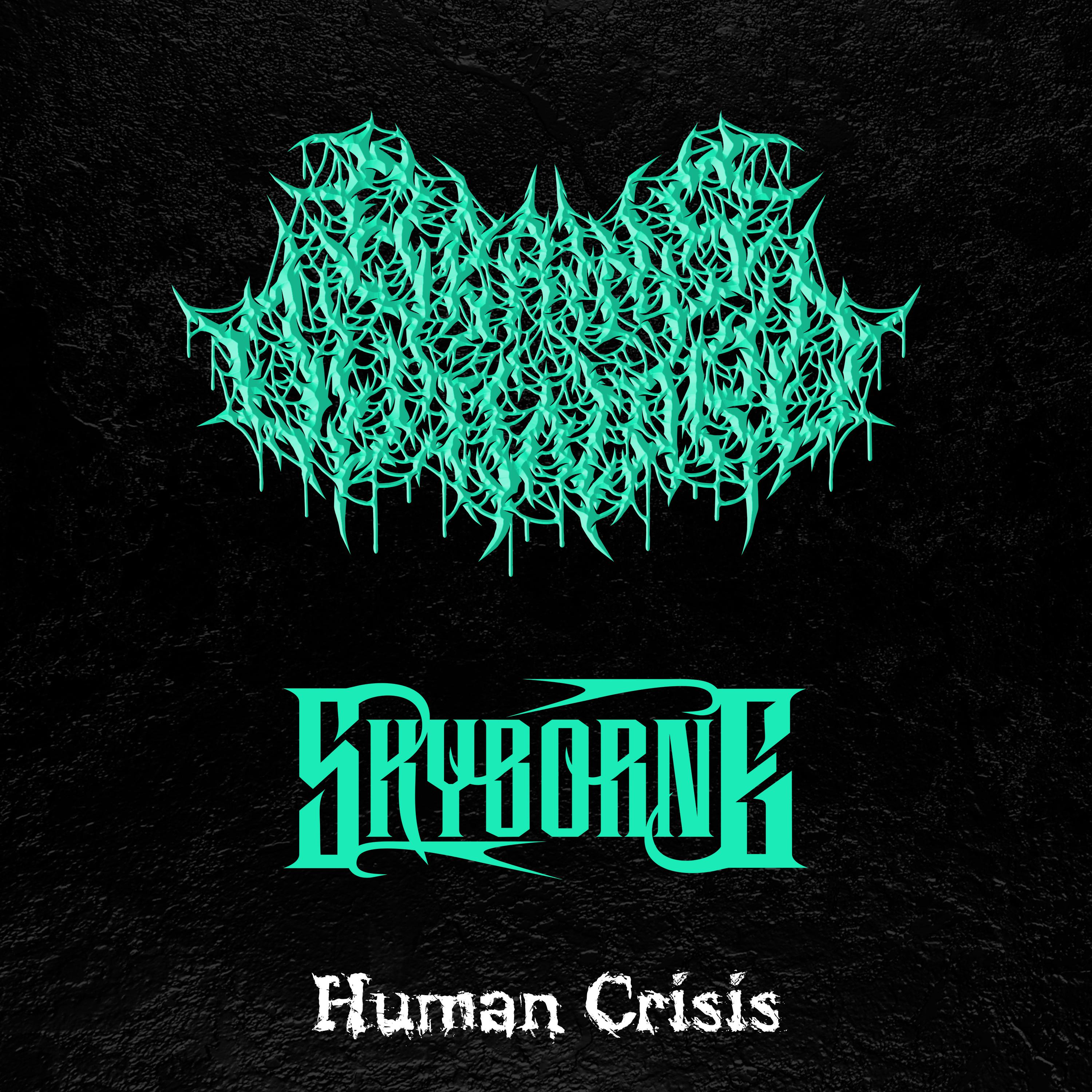 Постер альбома Human Crisis