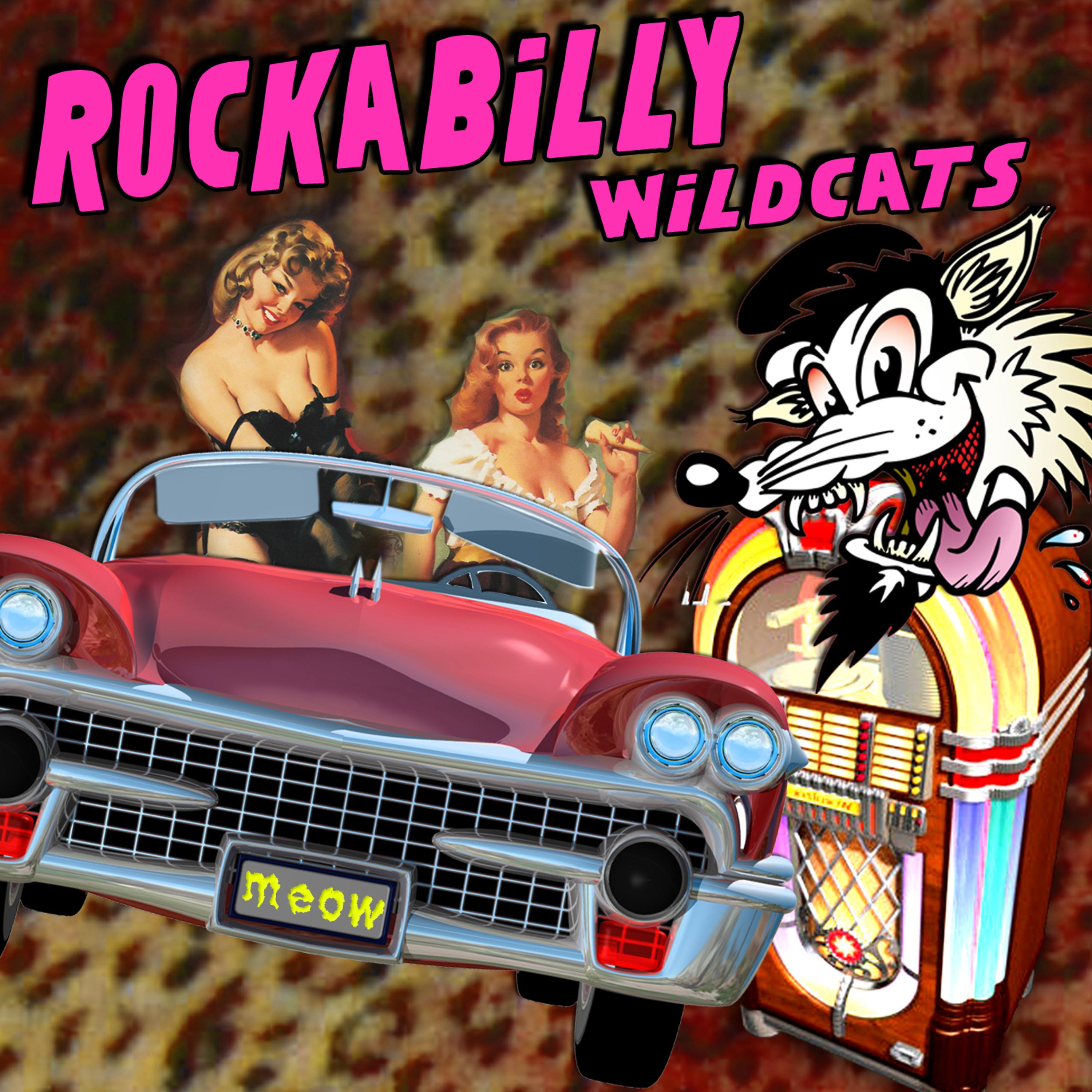 Постер альбома Rockabilly Wildcats