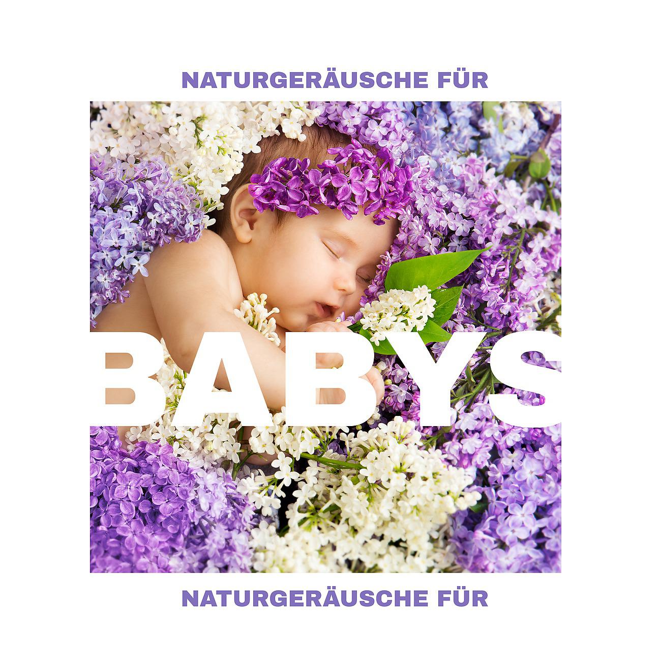 Постер альбома Naturgeräusche für Babys - Beruhigende Schlaflieder bei Nacht, Naturmusik für Kinder
