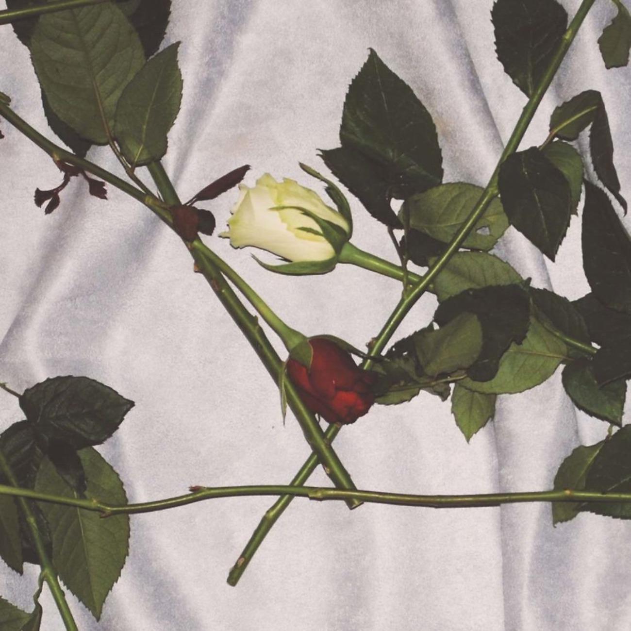 Постер альбома Chain of Flowers
