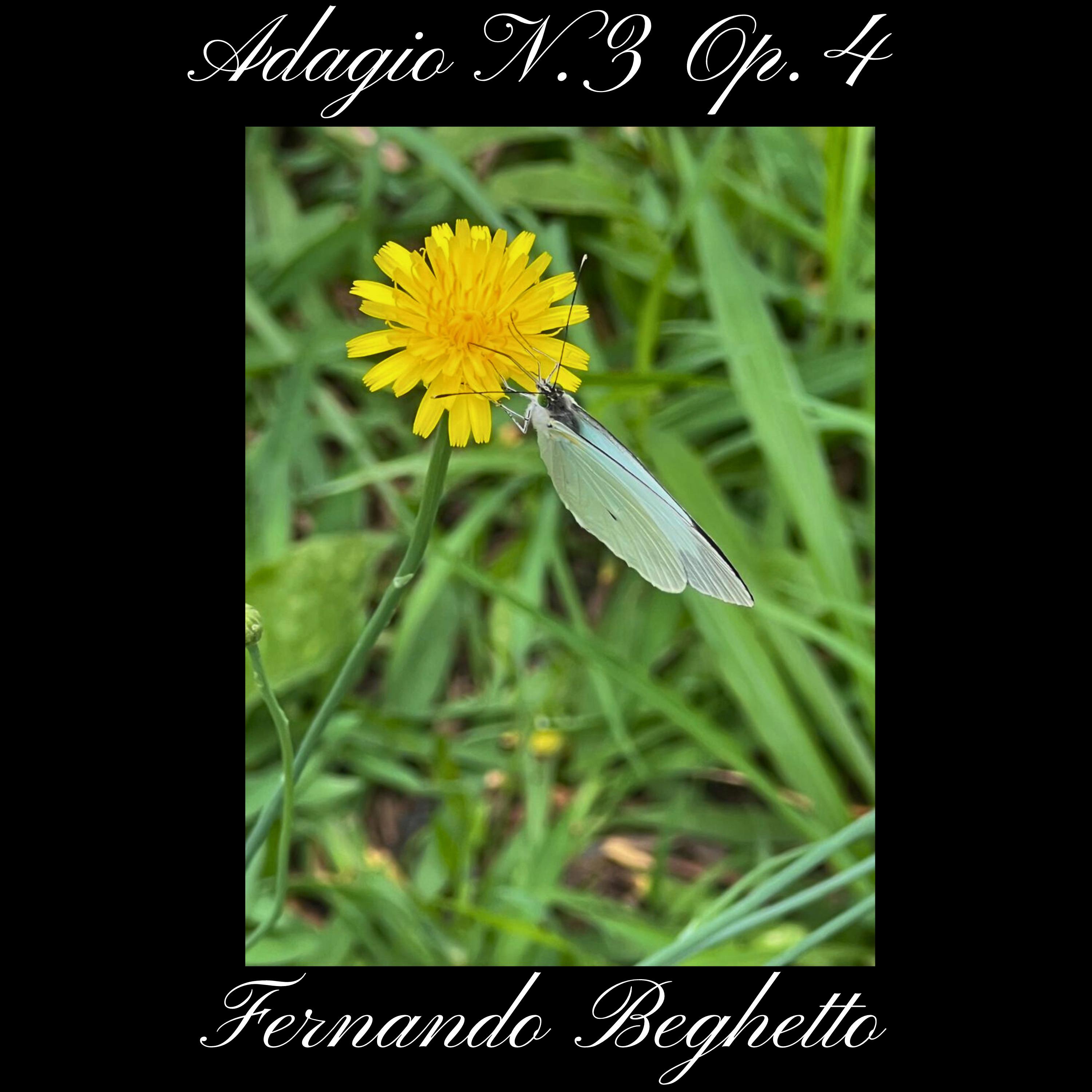 Постер альбома Adagio N 3 Op 4