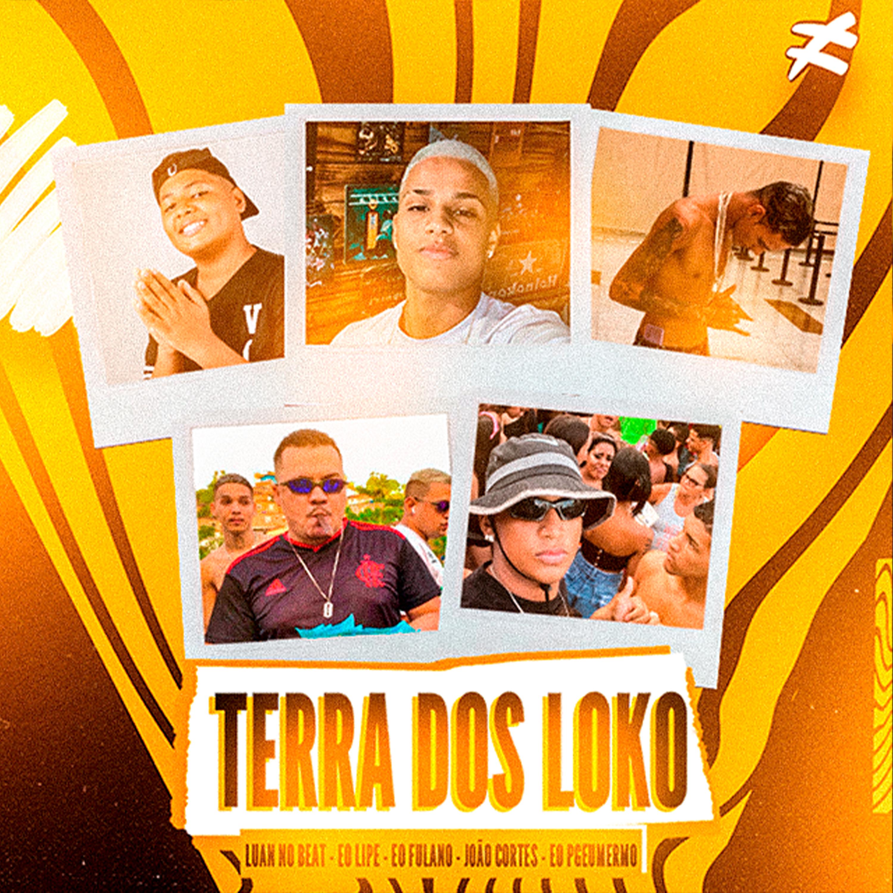 Постер альбома Terra dos Loko