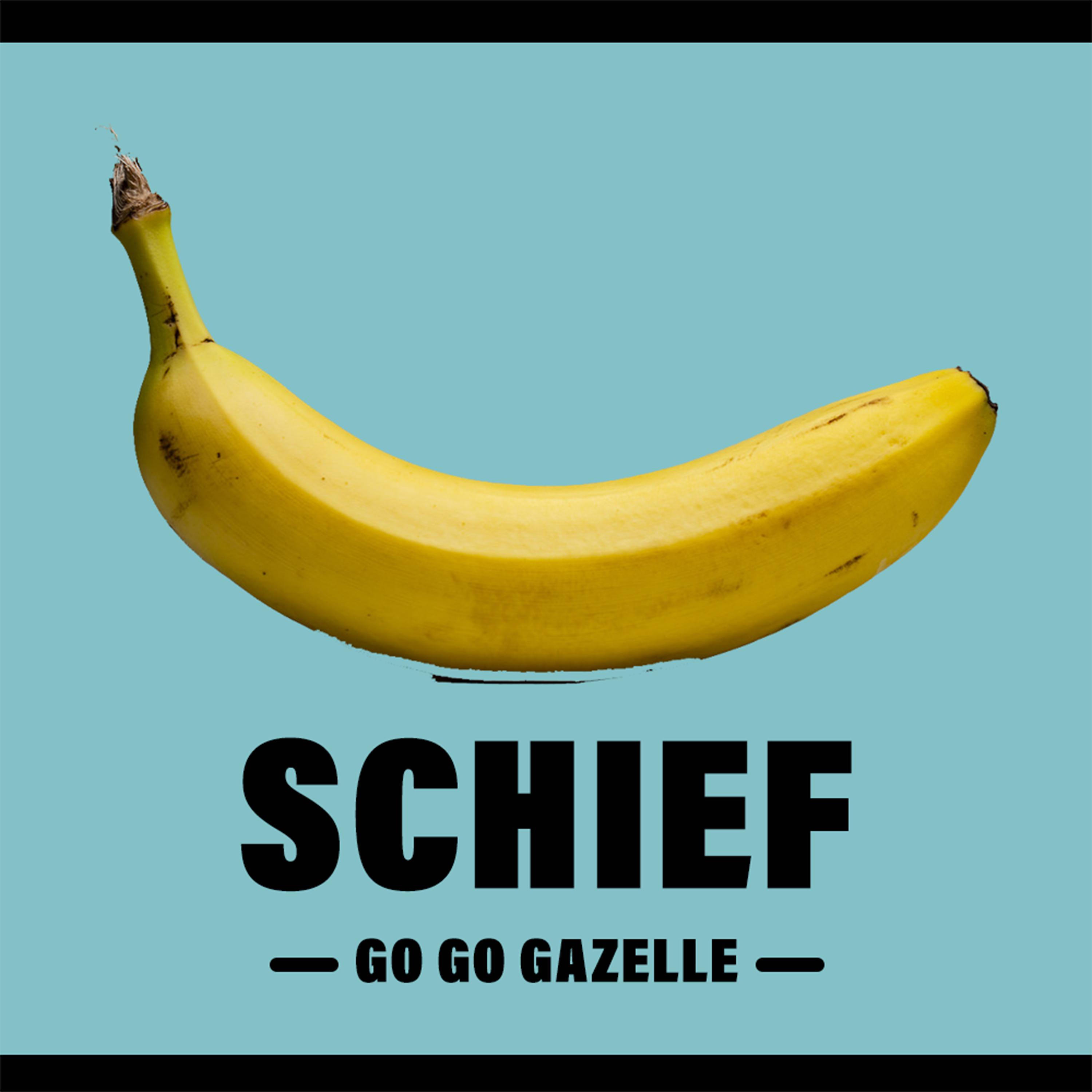 Постер альбома Schief