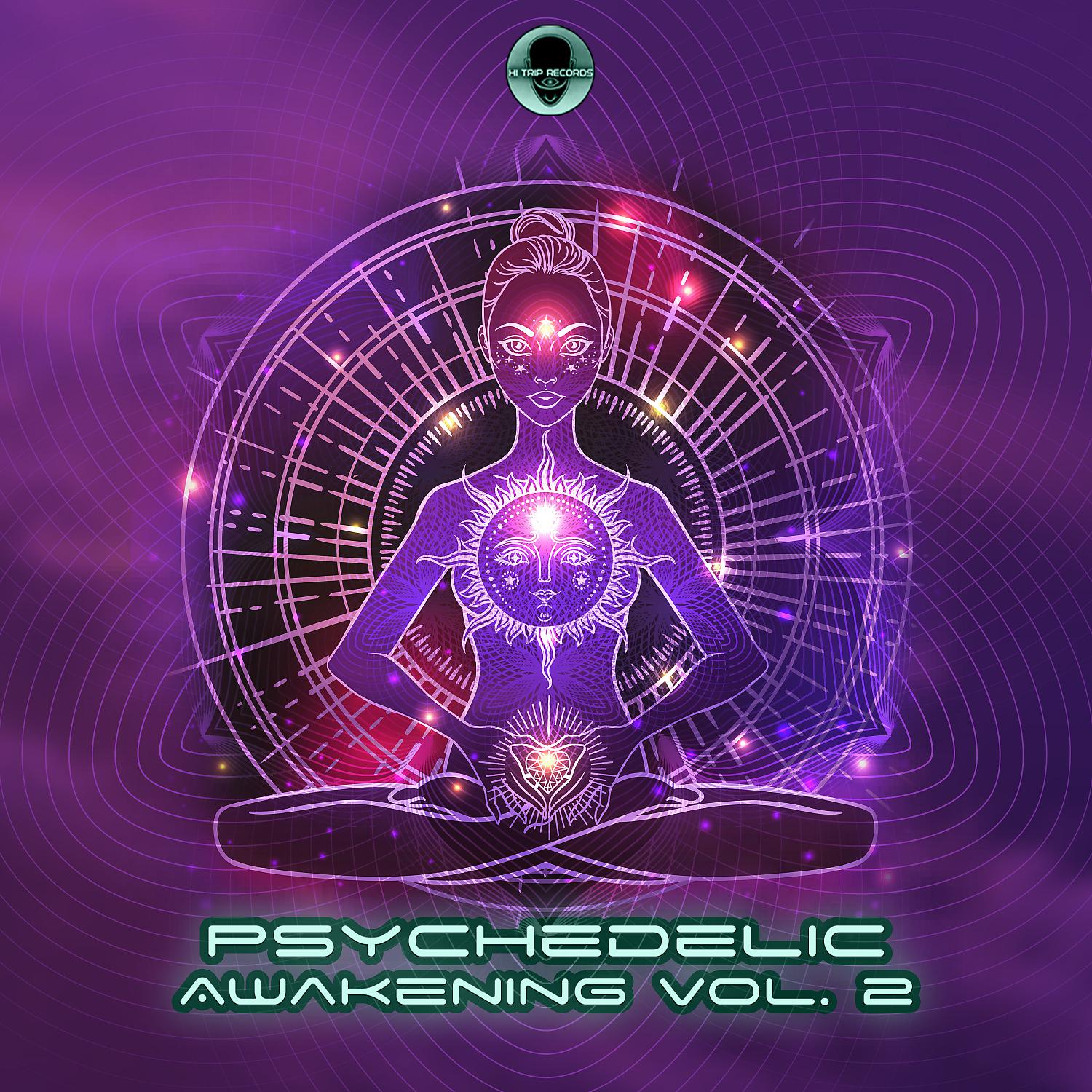 Постер альбома Psychedelic Awakening, Vol. 2