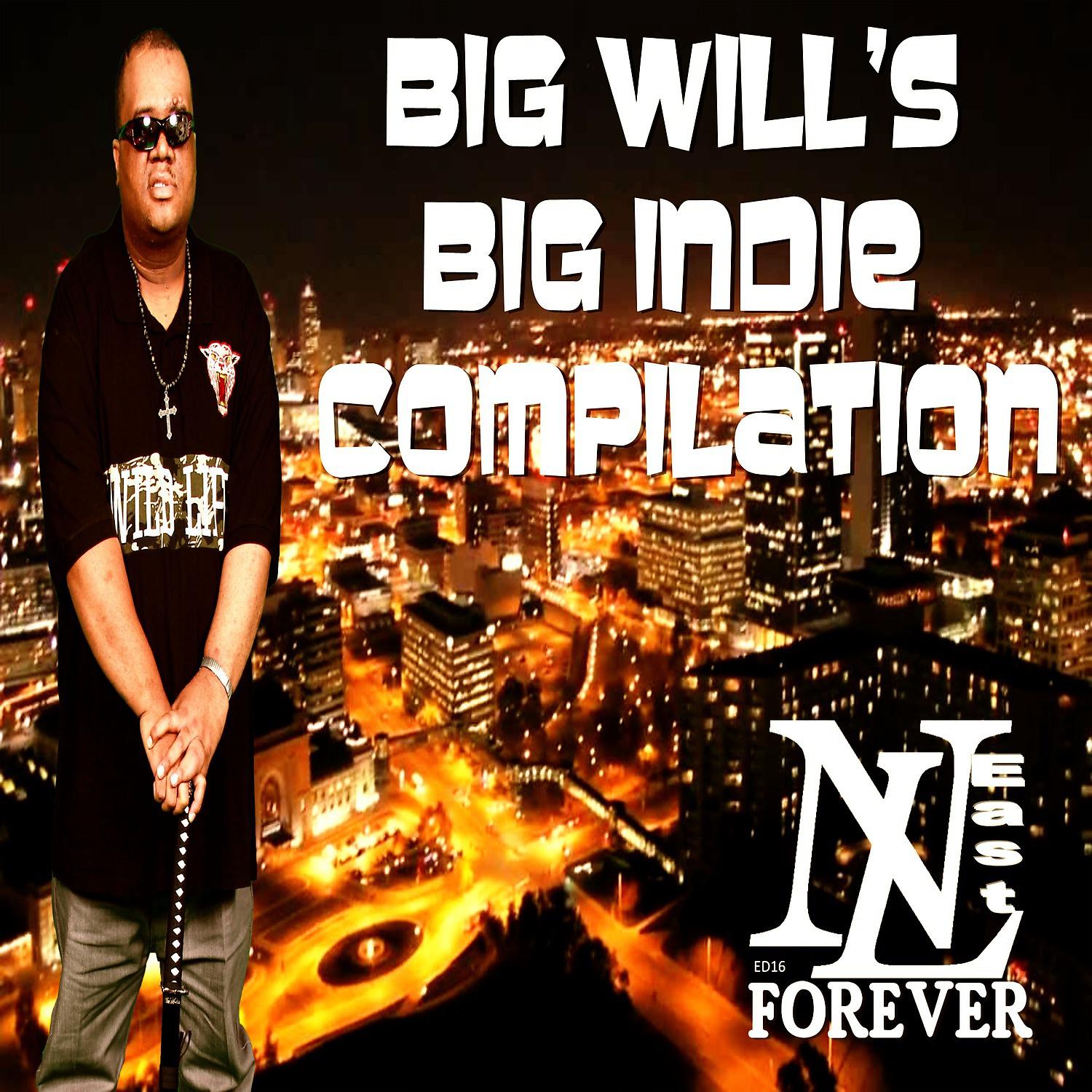 Постер альбома Big Will's Big Indie Compilation
