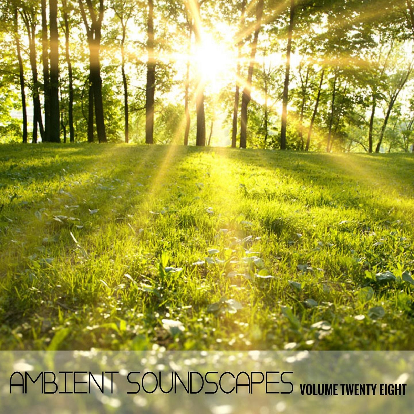 Постер альбома Ambient SoundScapes - Vol 28