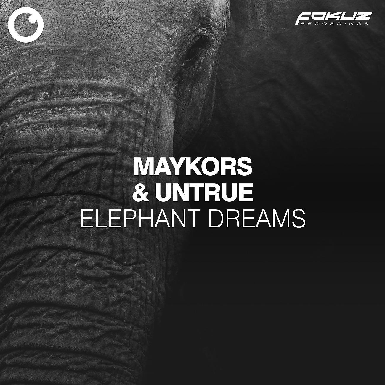 Постер альбома Elephant Dreams
