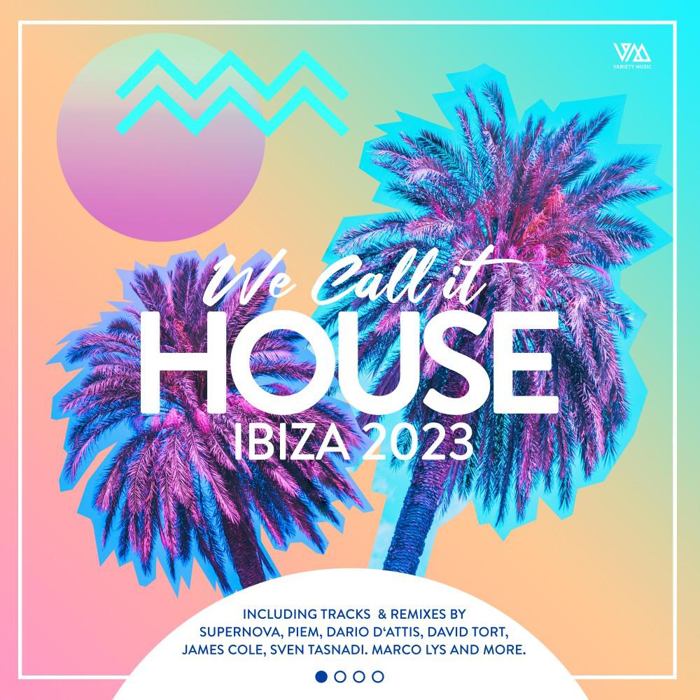 Постер альбома We Call It House - Ibiza 2023
